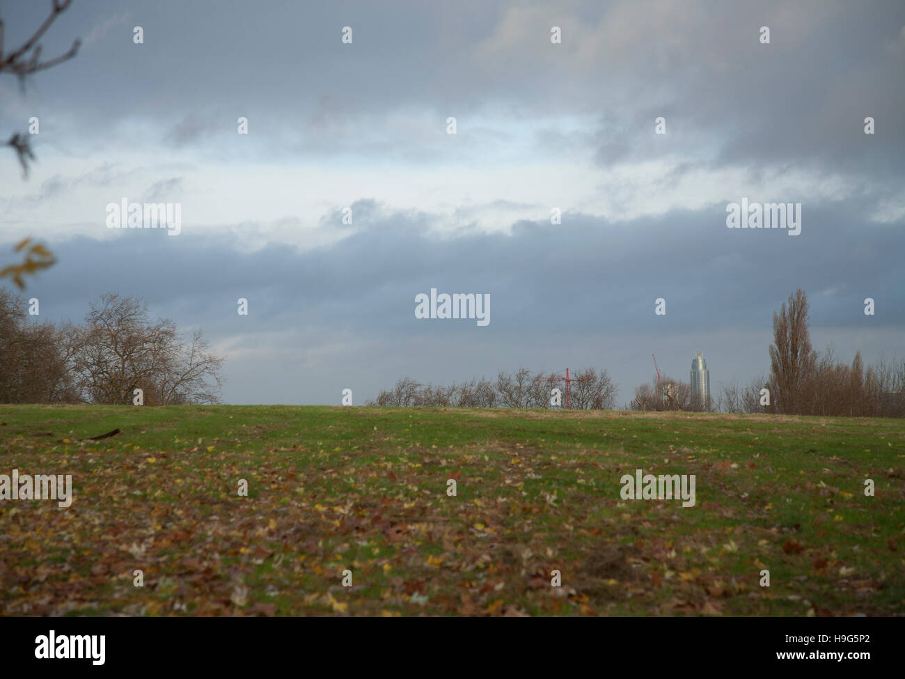 Londra Brockwell Park 22 Novembre 2016 - 08.30 Foto Stock