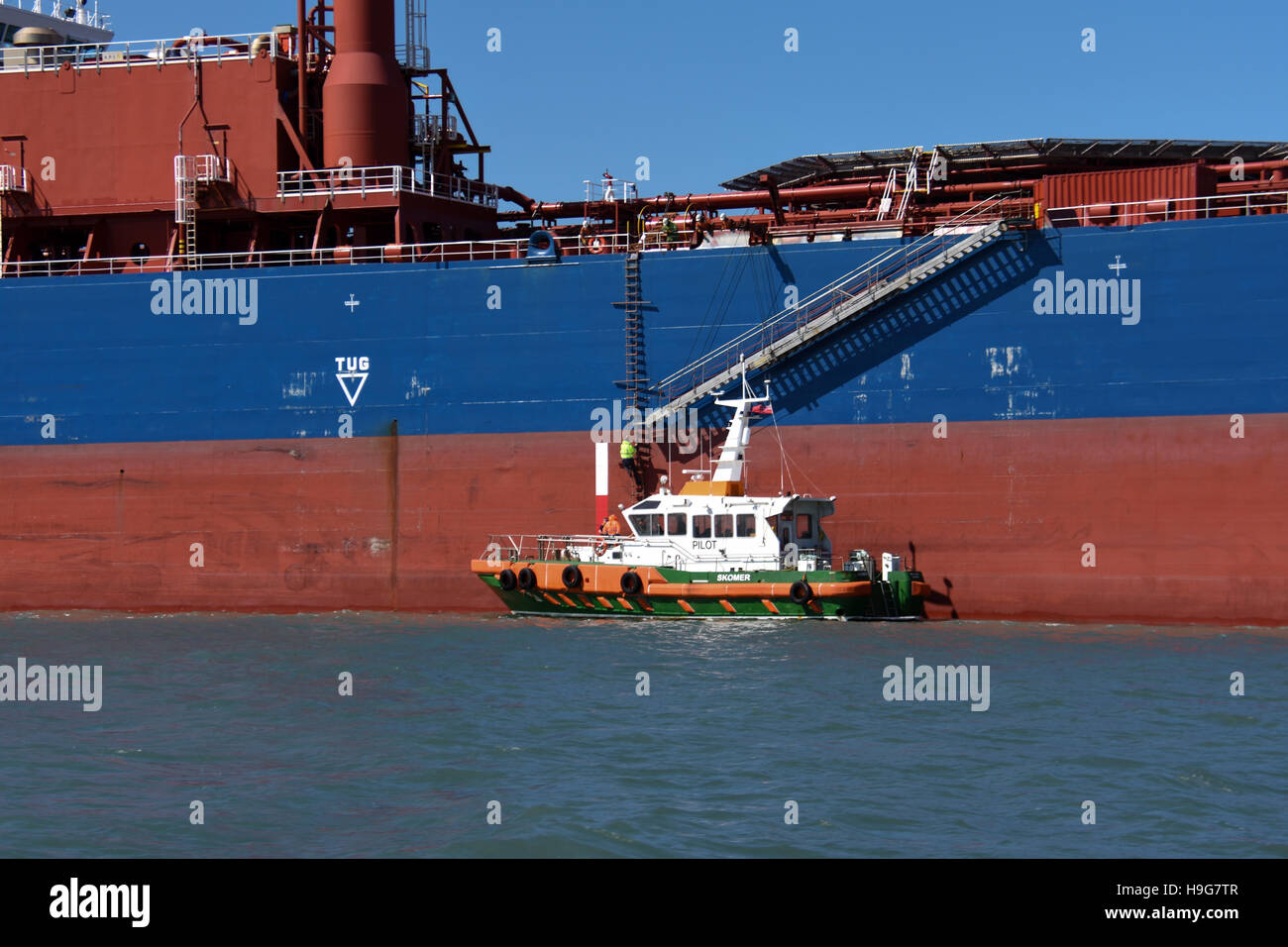 Un pilota di navi di salire a bordo di una petroliera in Milford haven dalla barca pilota skomer Foto Stock