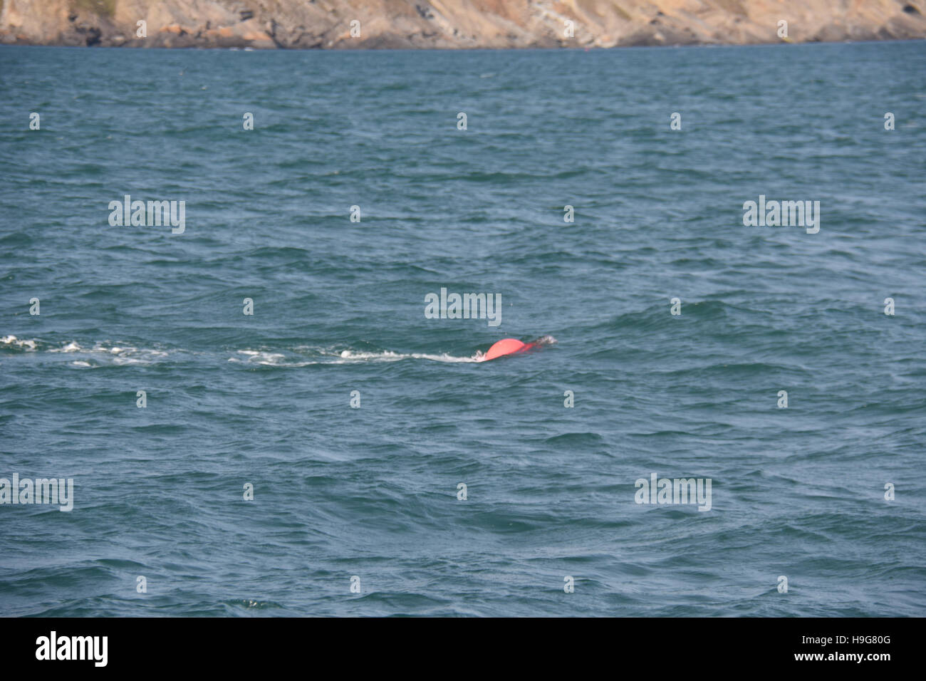 Tide off Milford haven forze a lobster pot subacquea boa creando un pericolo per la navigazione in mare calmo Foto Stock