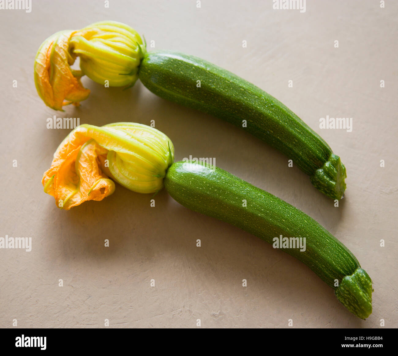 La zucchina, Curcubito pepo, due appena raccolto le zucchine con i fiori intatti. Foto Stock