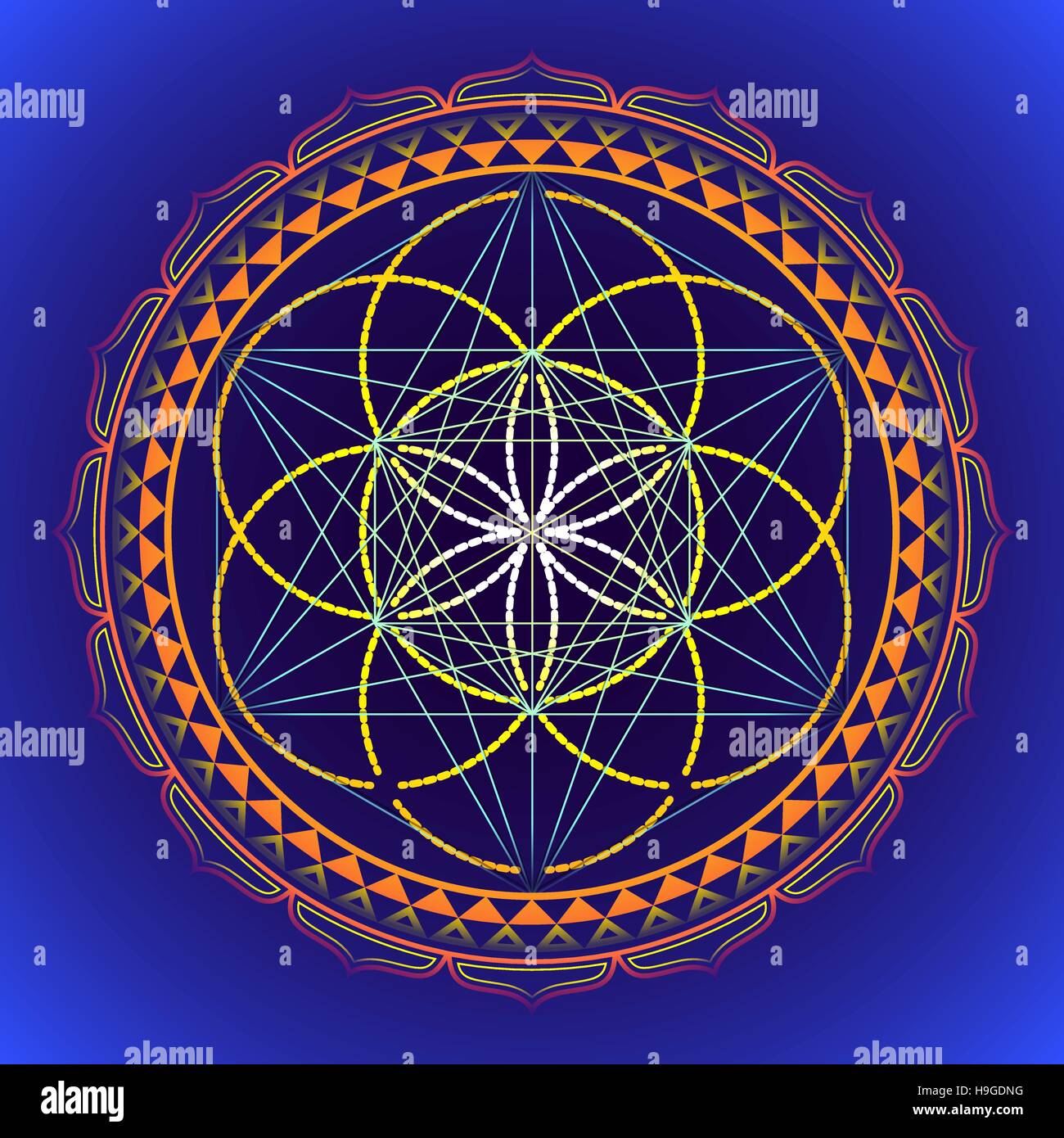 Vettore design colorato mandala geometria sacra immagine Seme di vita Metatron yantra isolato sfondo scuro Illustrazione Vettoriale