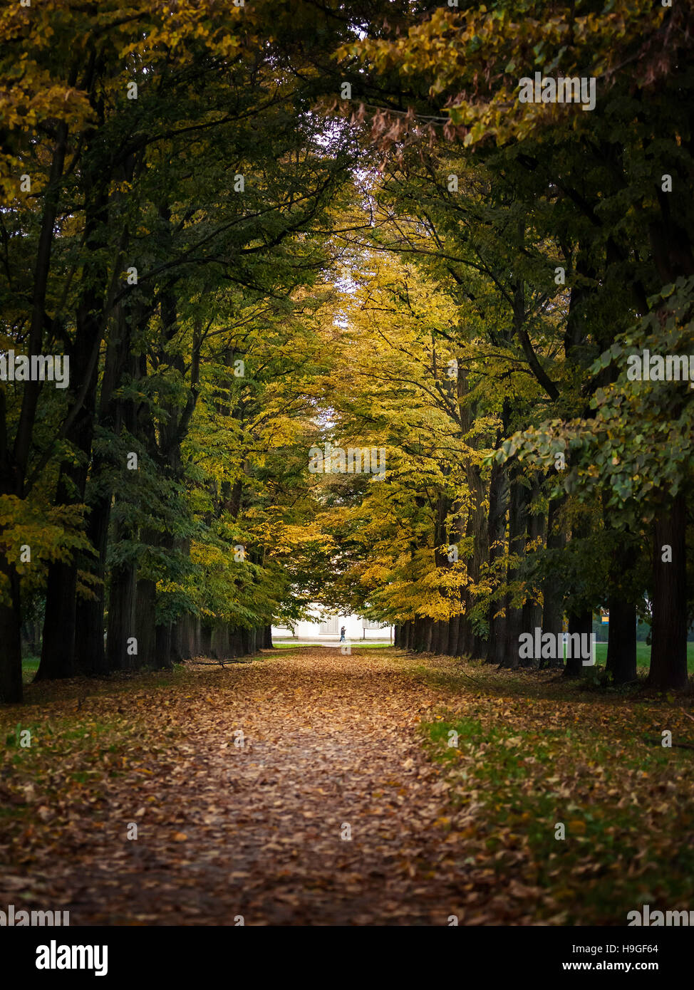 Corridoio di alberi portando a una vecchia casa bianca a Monza, Italia Foto Stock