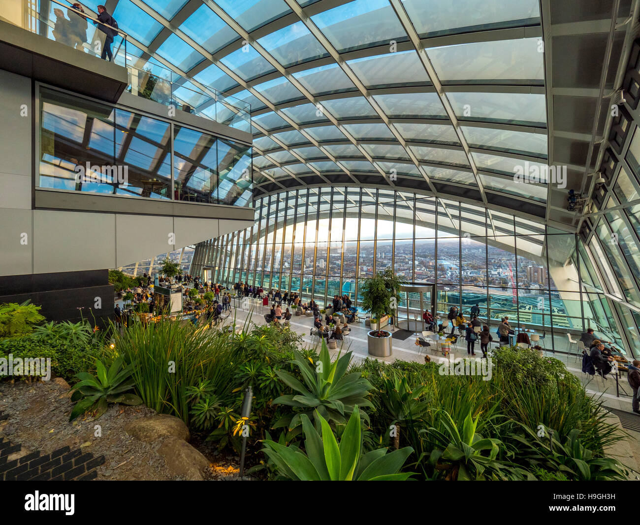 Il cielo giardino sulla sommità del walkie talkie edificio (20 Fenchurch Street), Londra, Regno Unito. Foto Stock