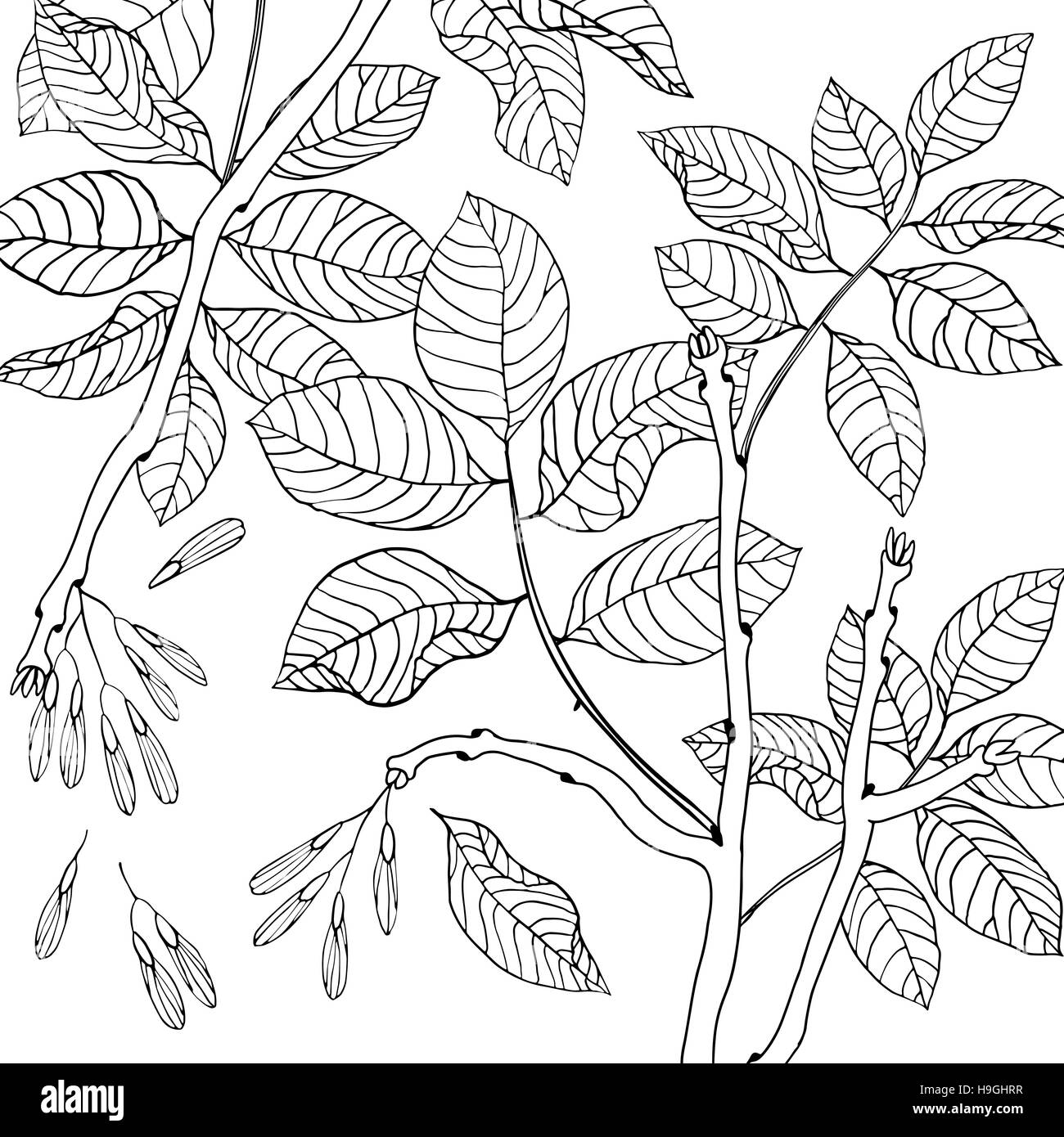 Vettore disegnati a mano in bianco e nero serie floreale di frassino per materiale tessile, tessuto, cartoline, carta da parati, scrapbooking e altri Illustrazione Vettoriale