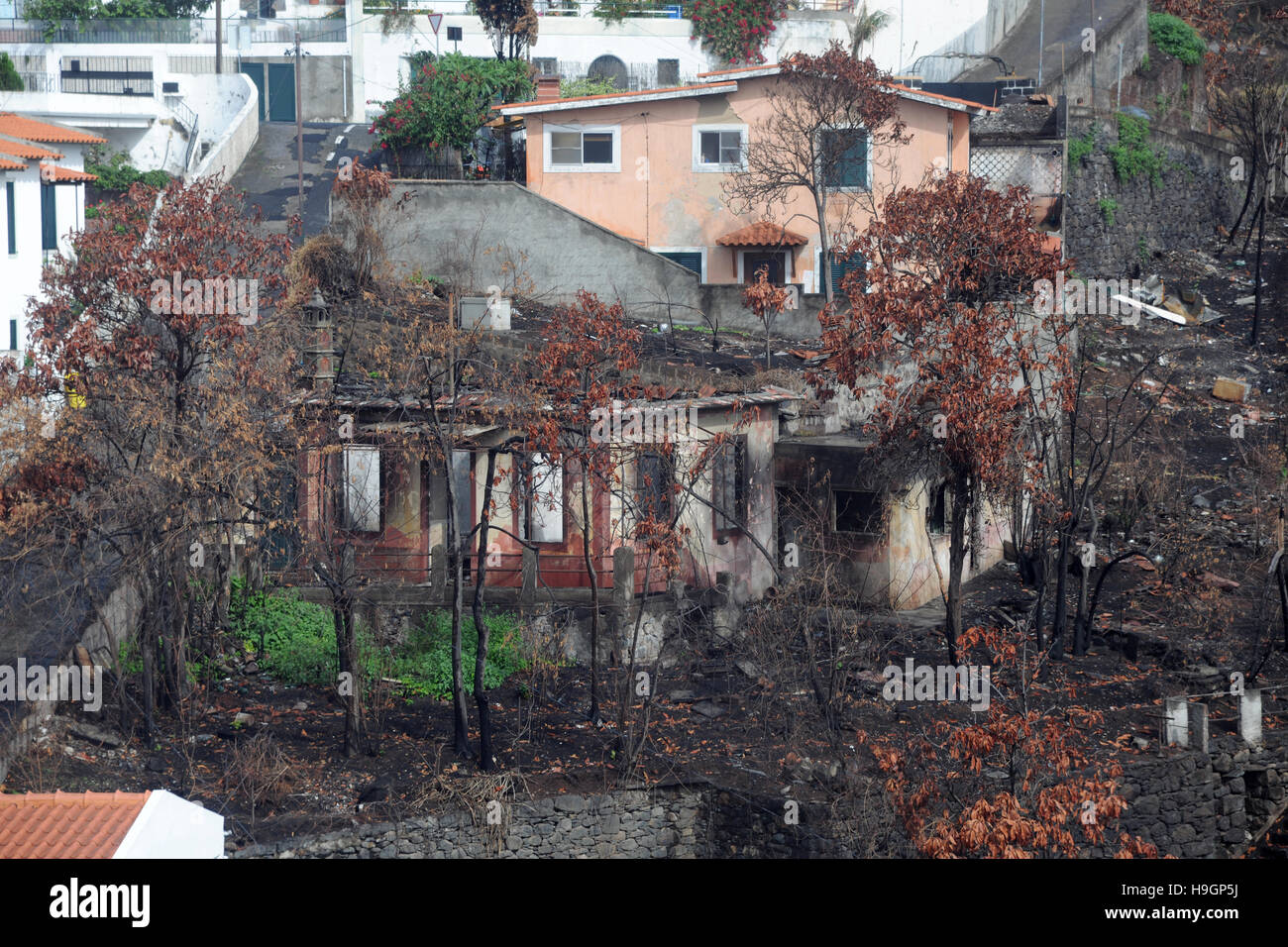 I danni di un incendio in Funchal Madeira Portogallo Foto Stock