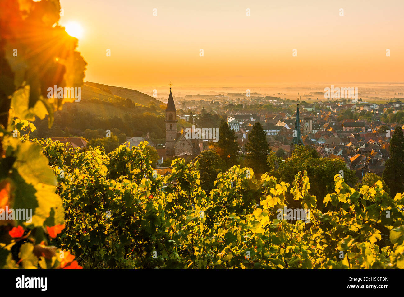 Ribeauvillé, vicino a Colmar, Alto Reno, pittoresco villaggio, Alsazia, Francia Foto Stock