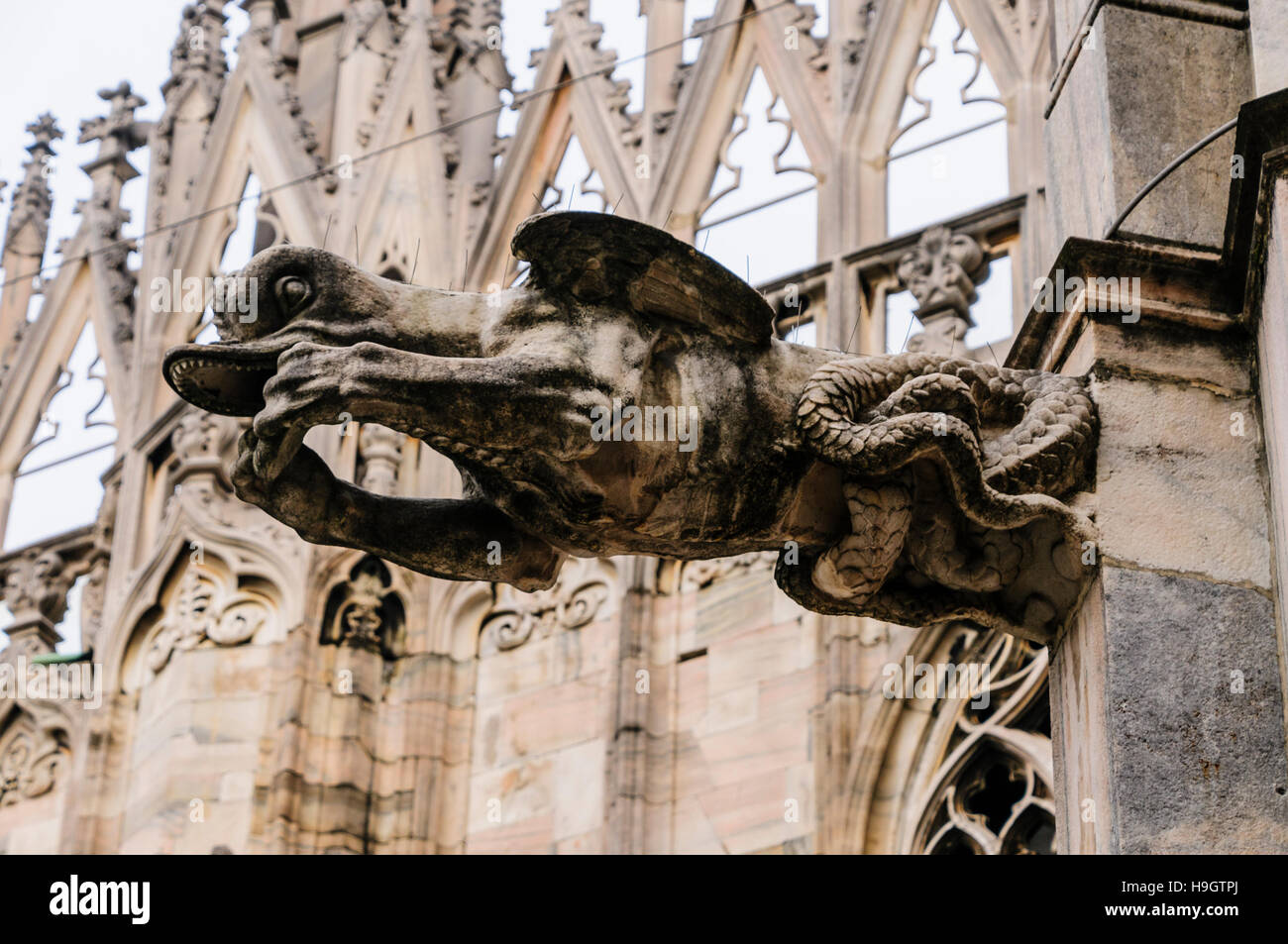Mascheroni e altri ornati in pietra scolpita al di fuori del Duomo di Milano (Duomo di Milano) Foto Stock