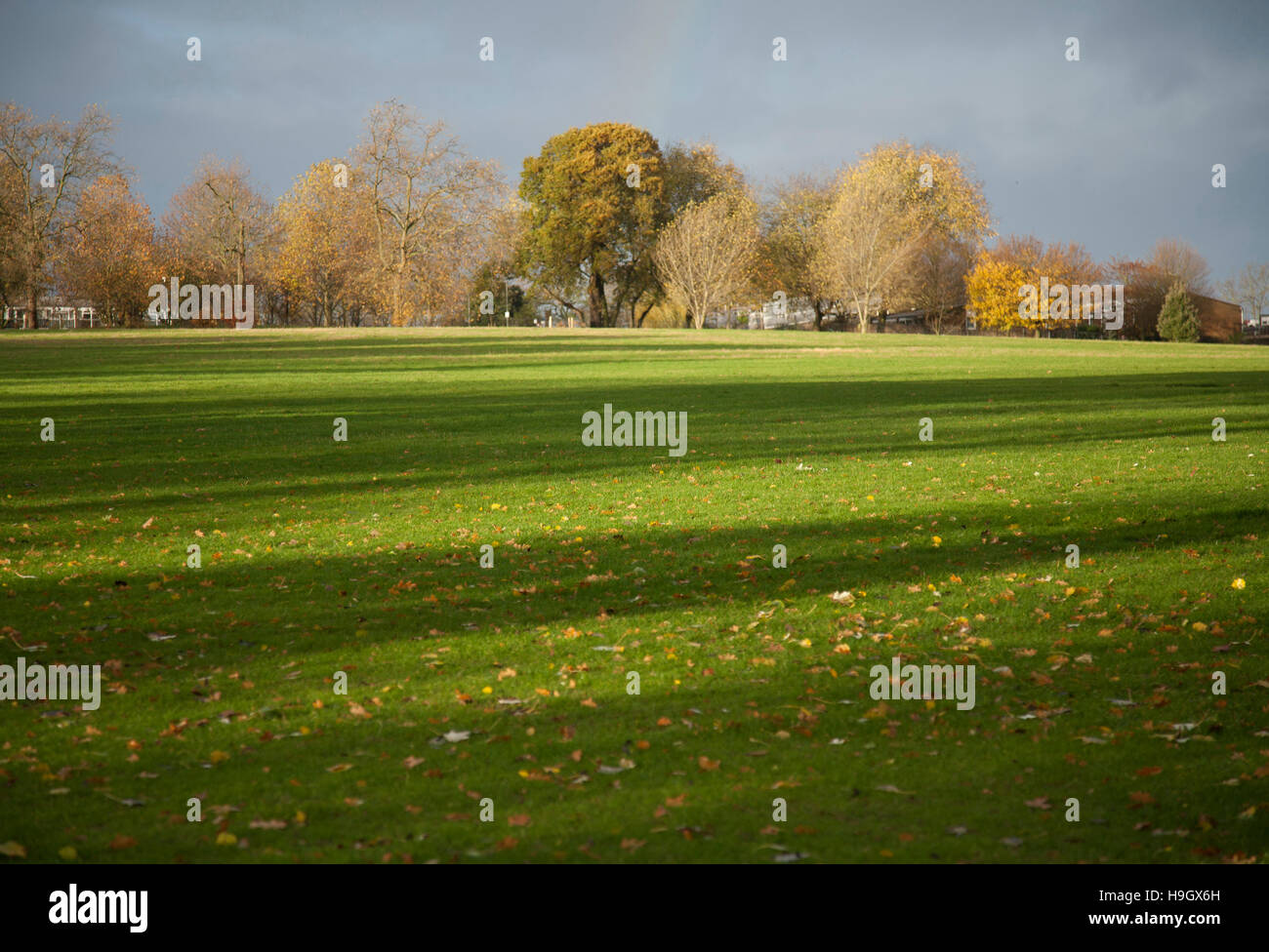 Londra Brockwell Park 22 novembre 2016 ©fotographic.eu Foto Stock