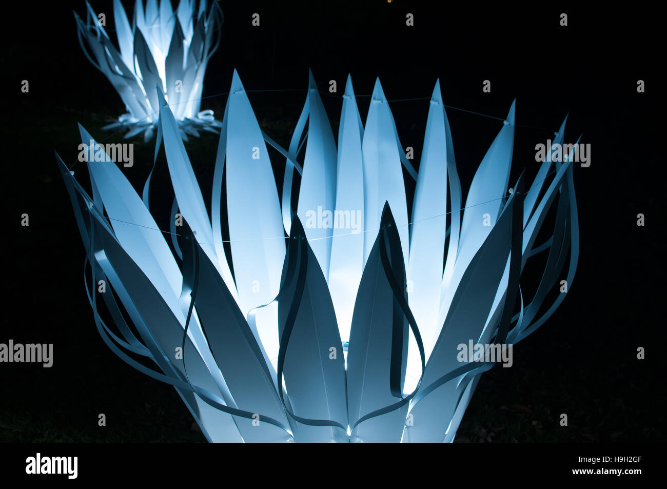 Londra, Regno Unito. 22 Novembre, 2016. Noctiflors, giganteschi fiori scolpiti a Kew Gardens una delle molte installazioni in Natale a Kew sentiero di luce. Più di 60.000 spie si illuminano gli alberi, piante e giardini. Il sentiero è più di un miglio di lunghezza e comprende opere da entrambi nel Regno Unito e a livello internazionale artisti e designer. La mostra si apre il 23 novembre 2016 e si chiude il 2 gennaio 2017. Credito: Tricia de Courcy Ling/Alamy Live News Foto Stock