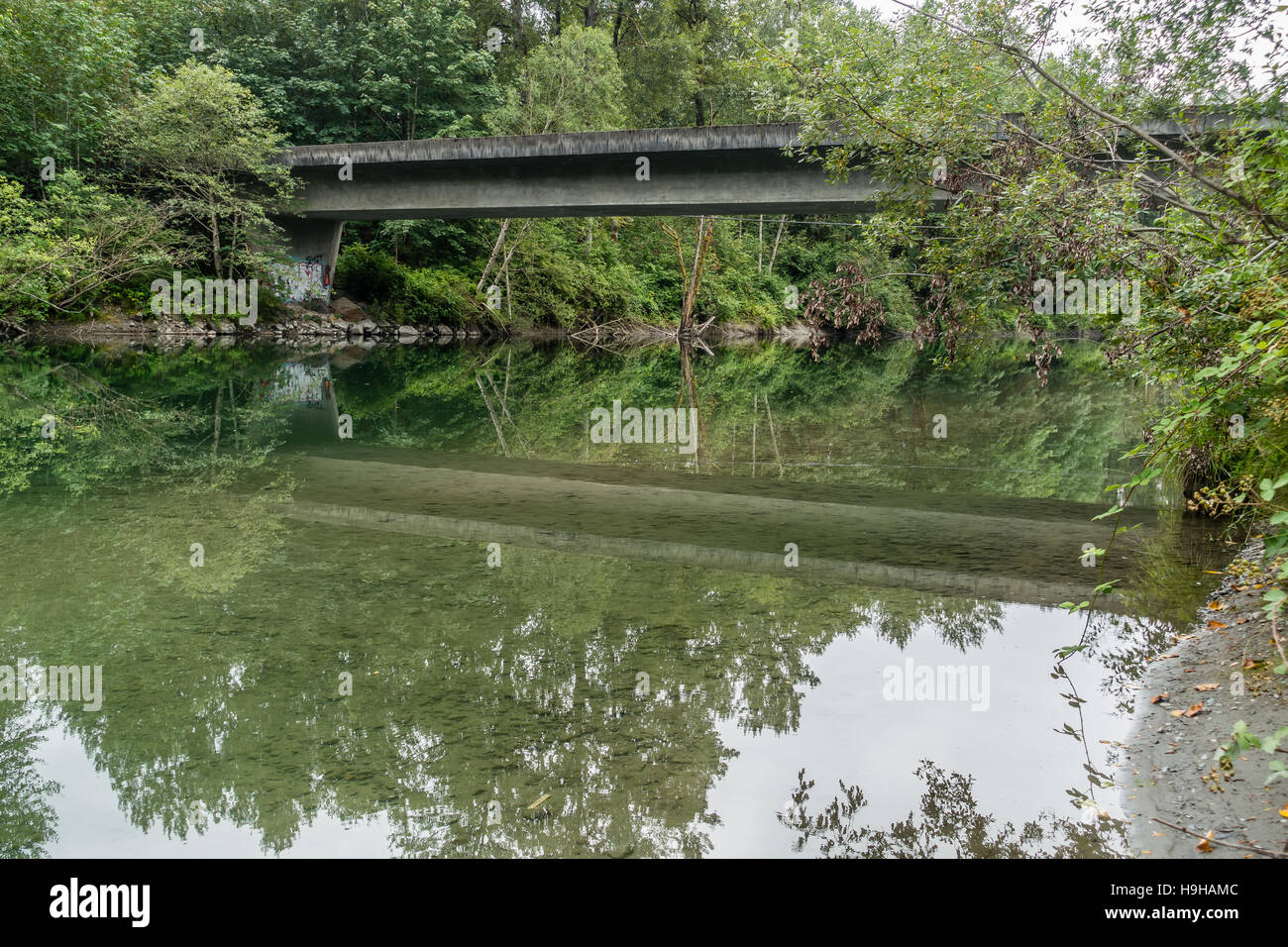 Un ponte e gli alberi sono riflesse in un fiume in North Bend, Washington. Foto Stock