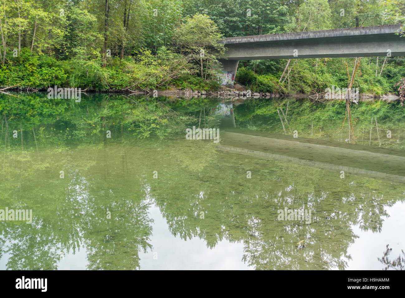 Un ponte e gli alberi sono riflesse in un fiume in North Bend, Washington. Foto Stock