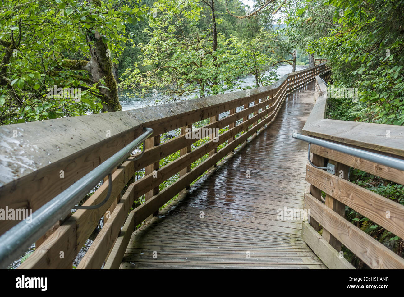 Una passerella elevata che segue il fiume Snoqualmie nello Stato di Washington. Foto Stock