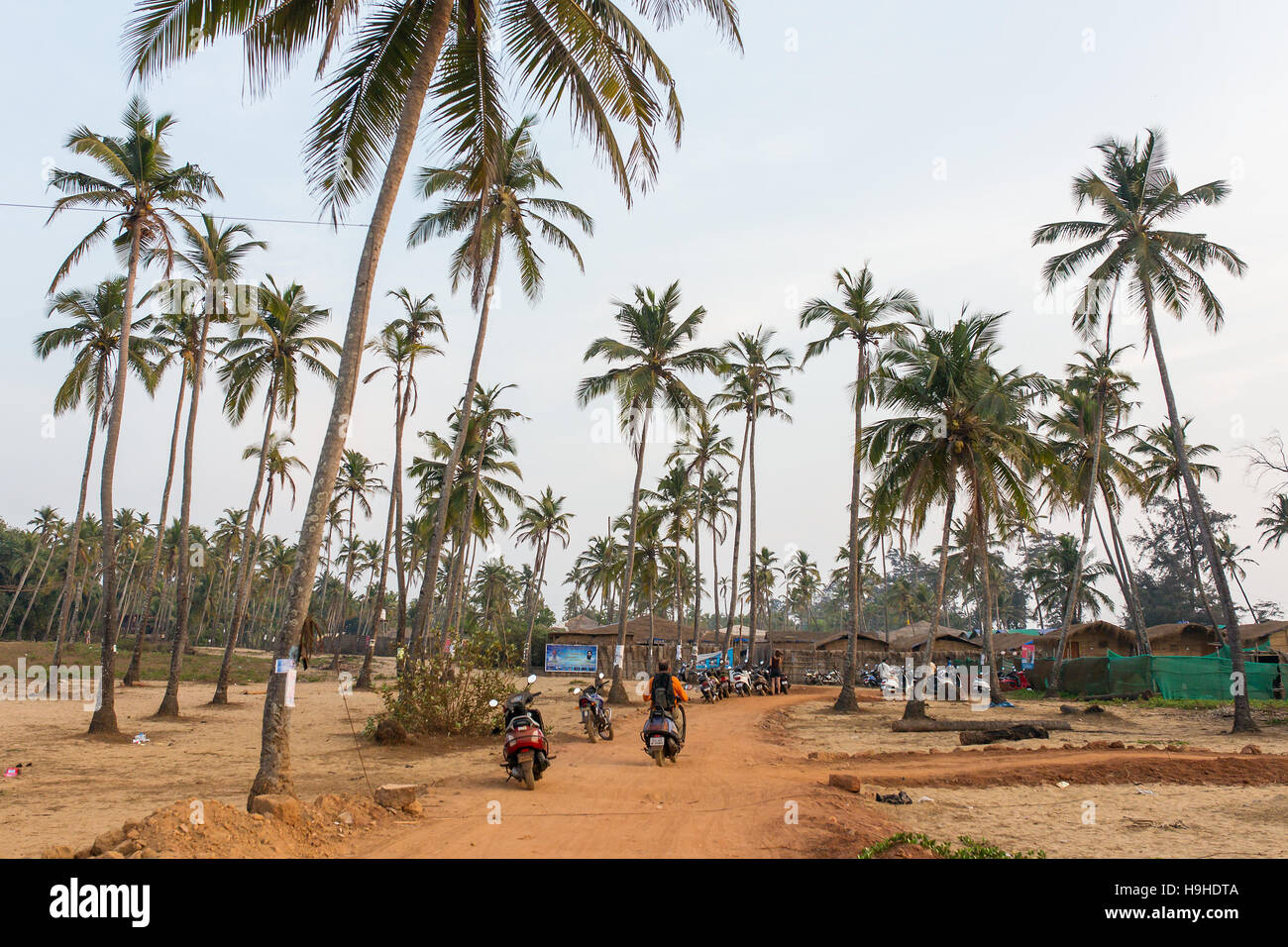 La strada attraverso le palme vicino Arambol Beach in Goa, India Foto Stock