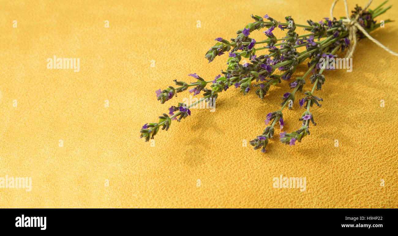 Mazzo di fiori di lavanda sul luminoso sfondo giallo con spazio di copia Foto Stock