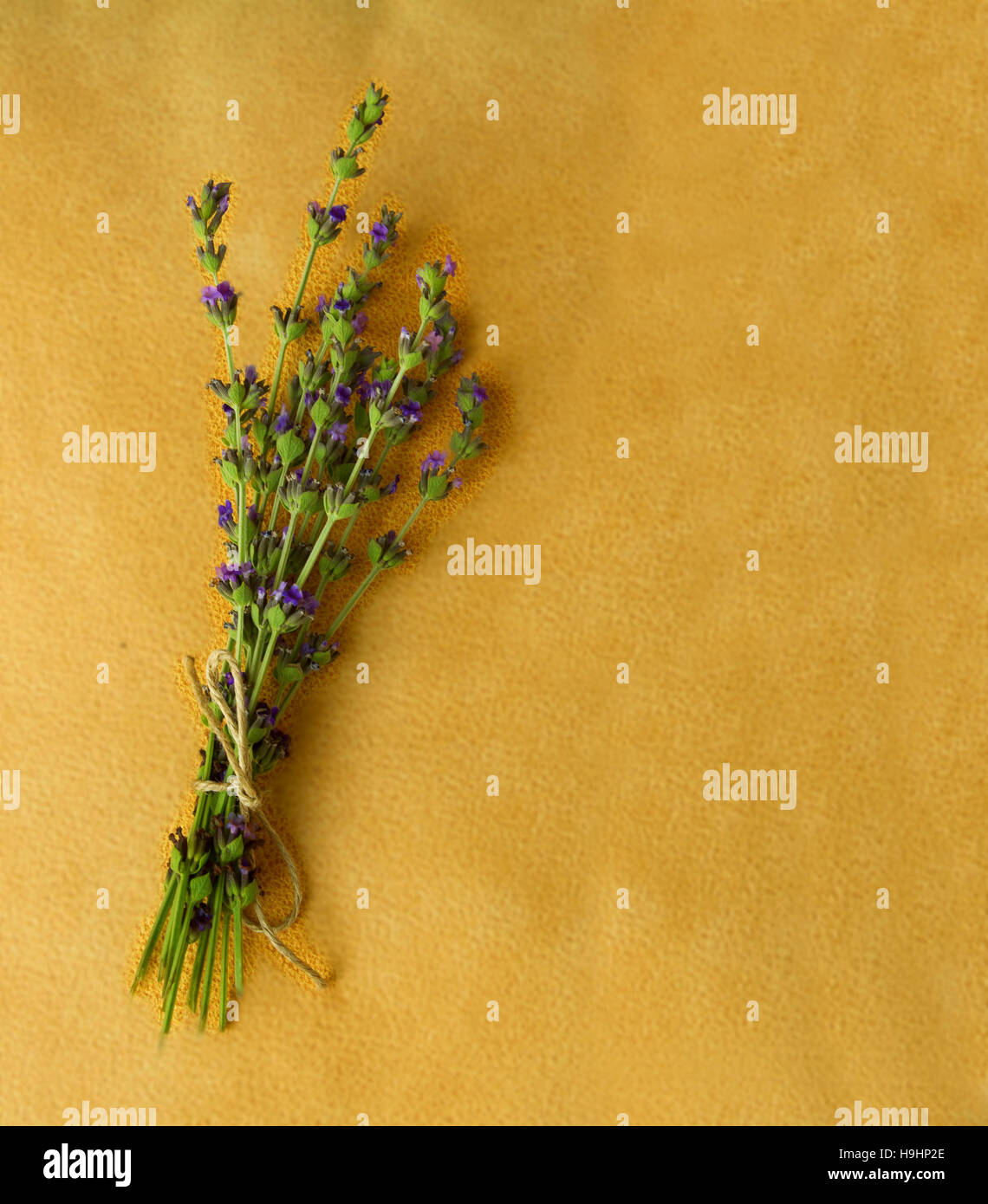 Mazzo di fiori di lavanda sul luminoso sfondo giallo con spazio di copia Foto Stock