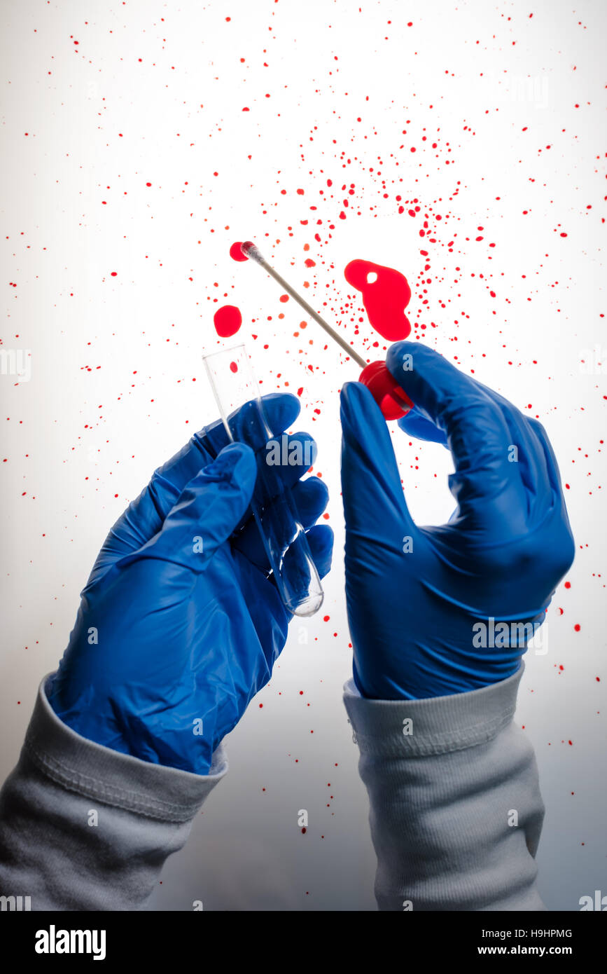 Tecnico forense di prendere un campione di DNA da macchia di sangue con un batuffolo di cotone su assassinio della scena del crimine Foto Stock