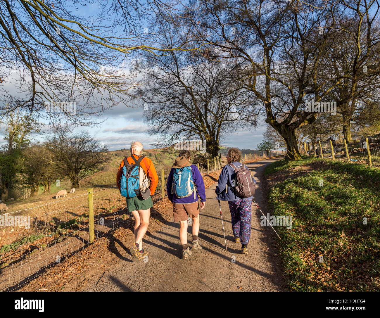Tre escursionisti sulla via attraverso terreni agricoli, Crug Mawr, Wales, Regno Unito Foto Stock