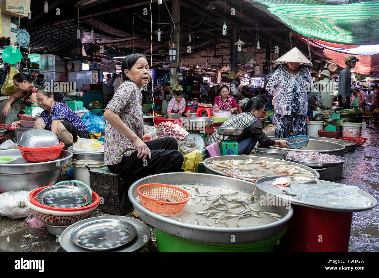 Mercato del pesce di Vinh Long, Delta del Mekong, Vietnam, Indocina, Asia Foto Stock