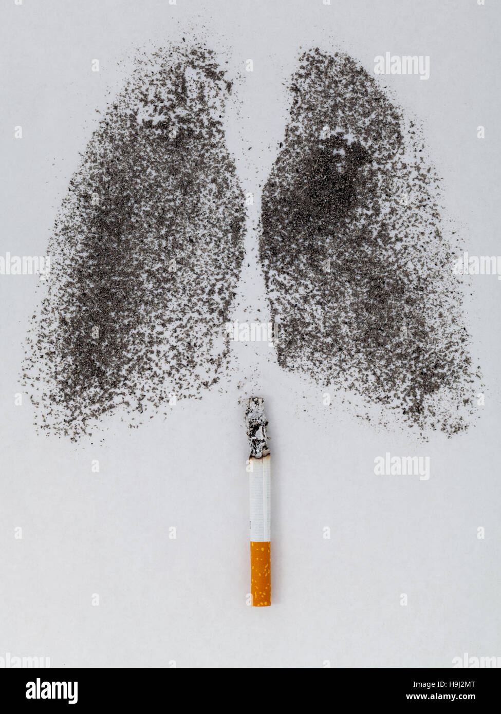 Forma dei polmoni con polvere di carbone e di sigarette su bianco backg Foto Stock