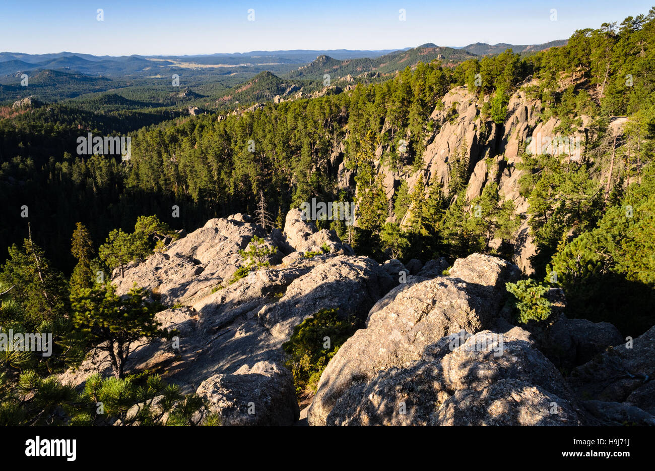 Black Hills Foto Stock