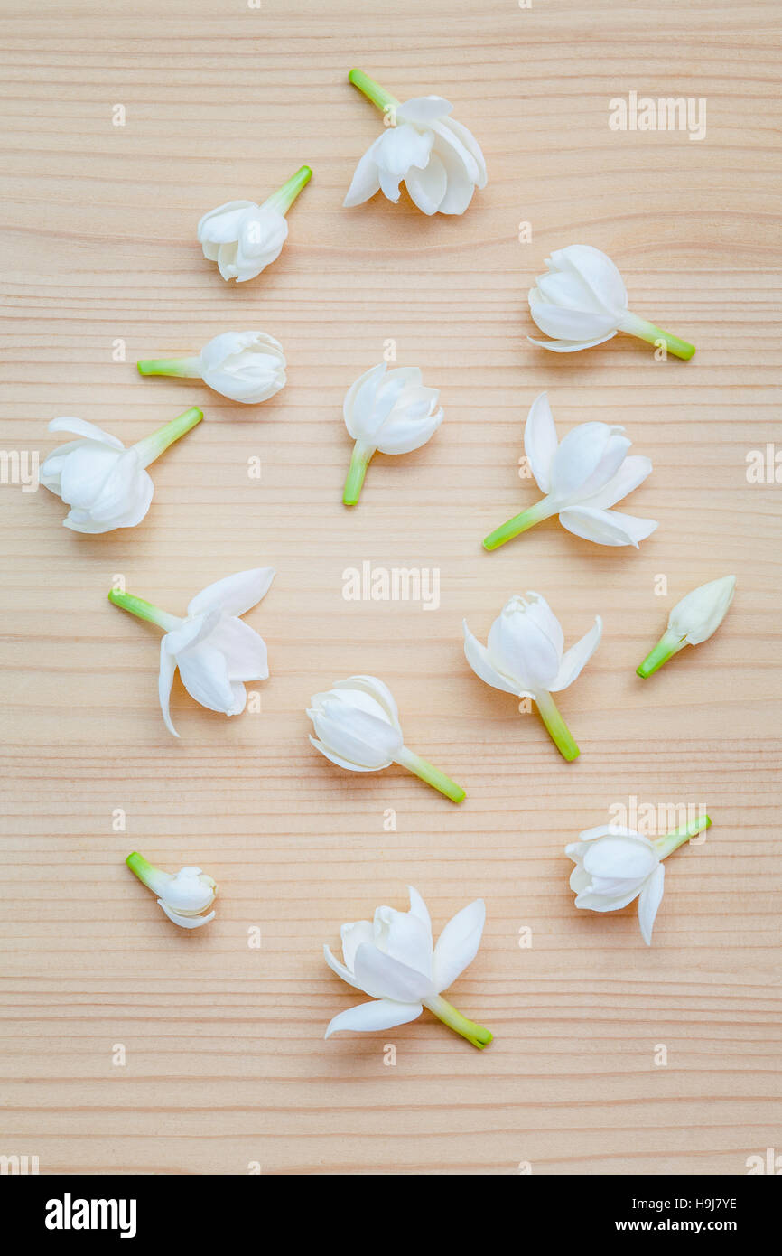 Bianco Fiori di gelsomino su sfondo di legno. La delicata pioggia se Foto Stock