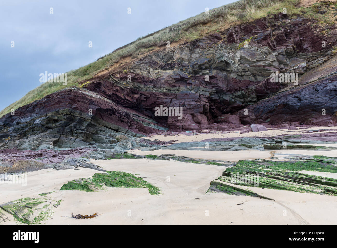 Geologia del North Cornwall. Le formazioni rocciose adiacenti al Daymer Bay visualizza metalli e minerali nella loro composizione. Foto Stock