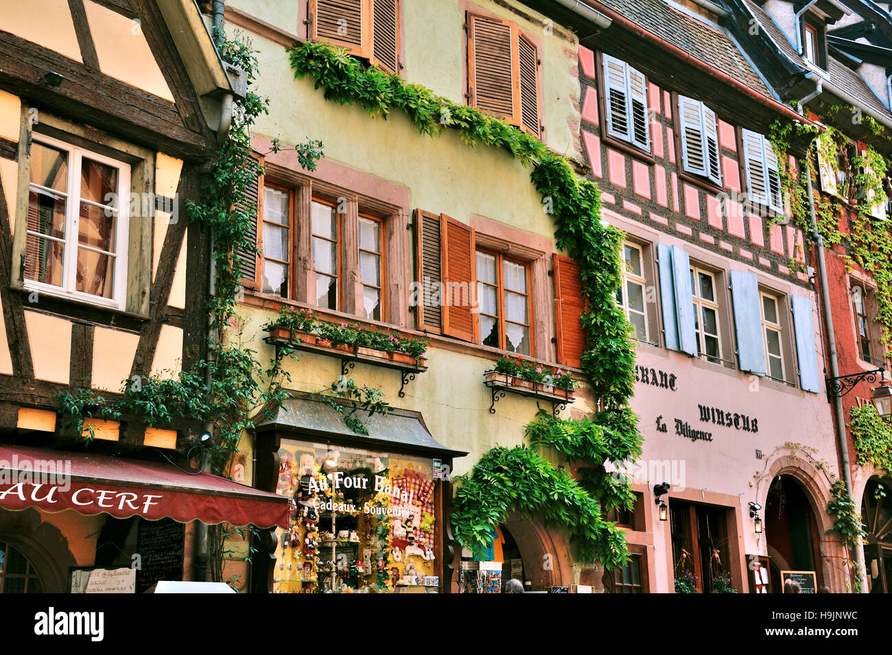 Vecchio e pittoresco villaggio Riquewihr, villaggio del vino, gli stati dei più bei villaggi di Francia, Francia orientale confine con la Germania, comune di departm Foto Stock