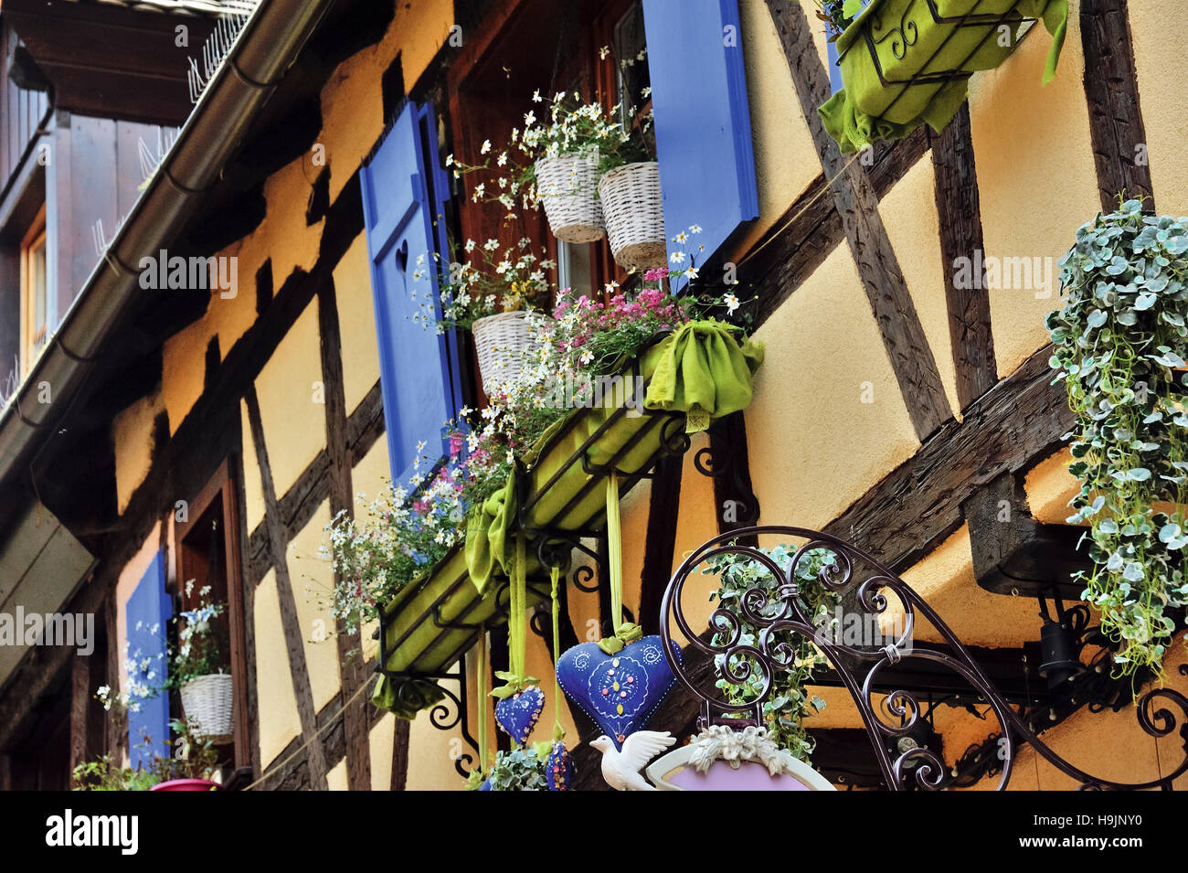 Vecchio e pittoresco villaggio Riquewihr, villaggio del vino, gli stati dei più bei villaggi di Francia, Francia orientale confine con la Germania, comune di departm Foto Stock