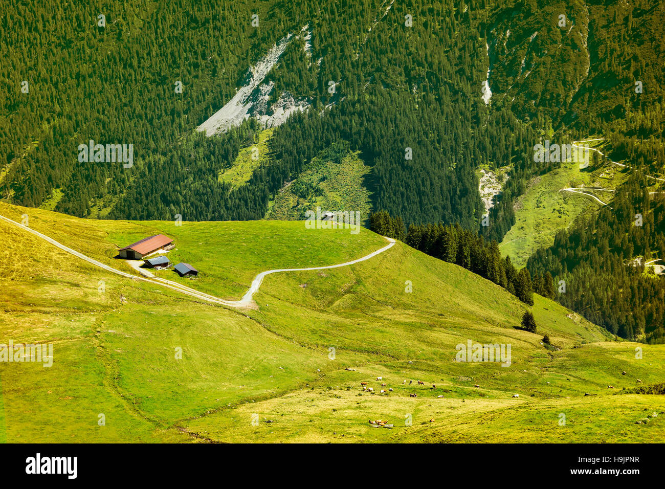 Bella valle di Brixen e Kitzbuhel Alpi, Tirolo, Austria Foto Stock