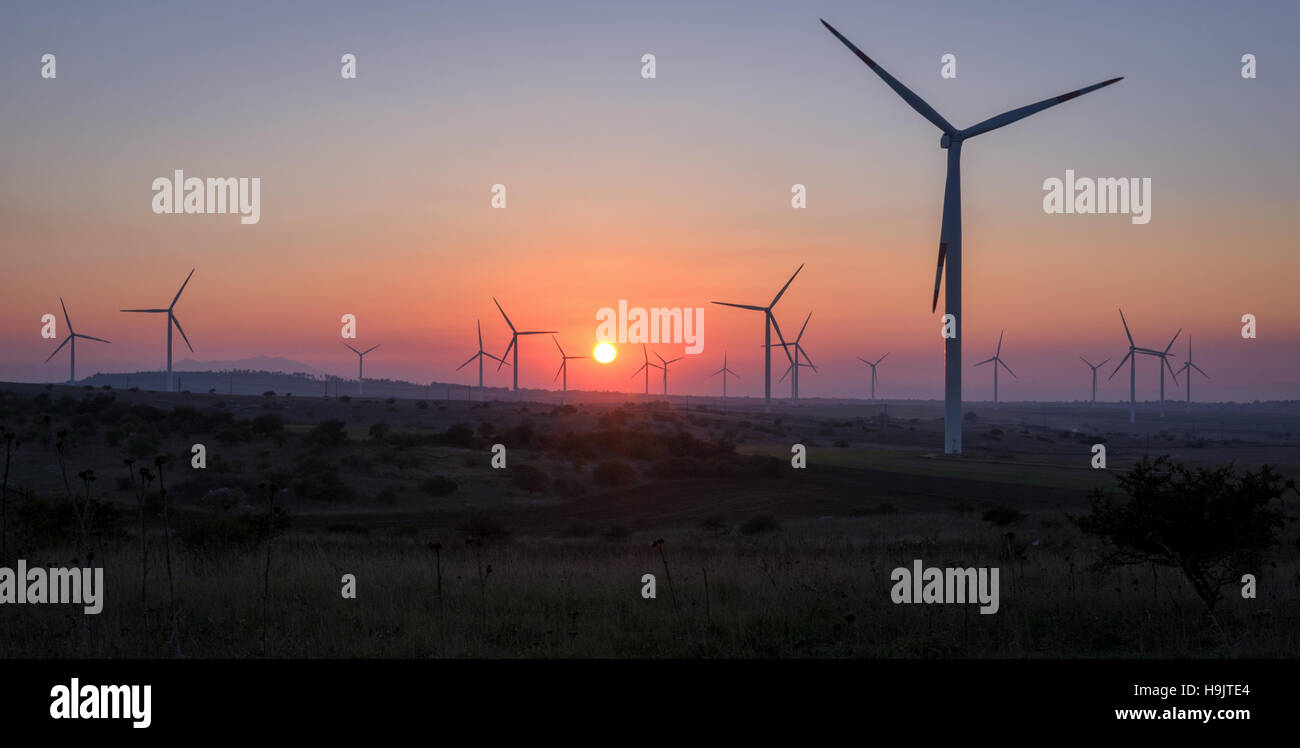 Le turbine eoliche al tramonto - Energie rinnovabili concetto Foto Stock