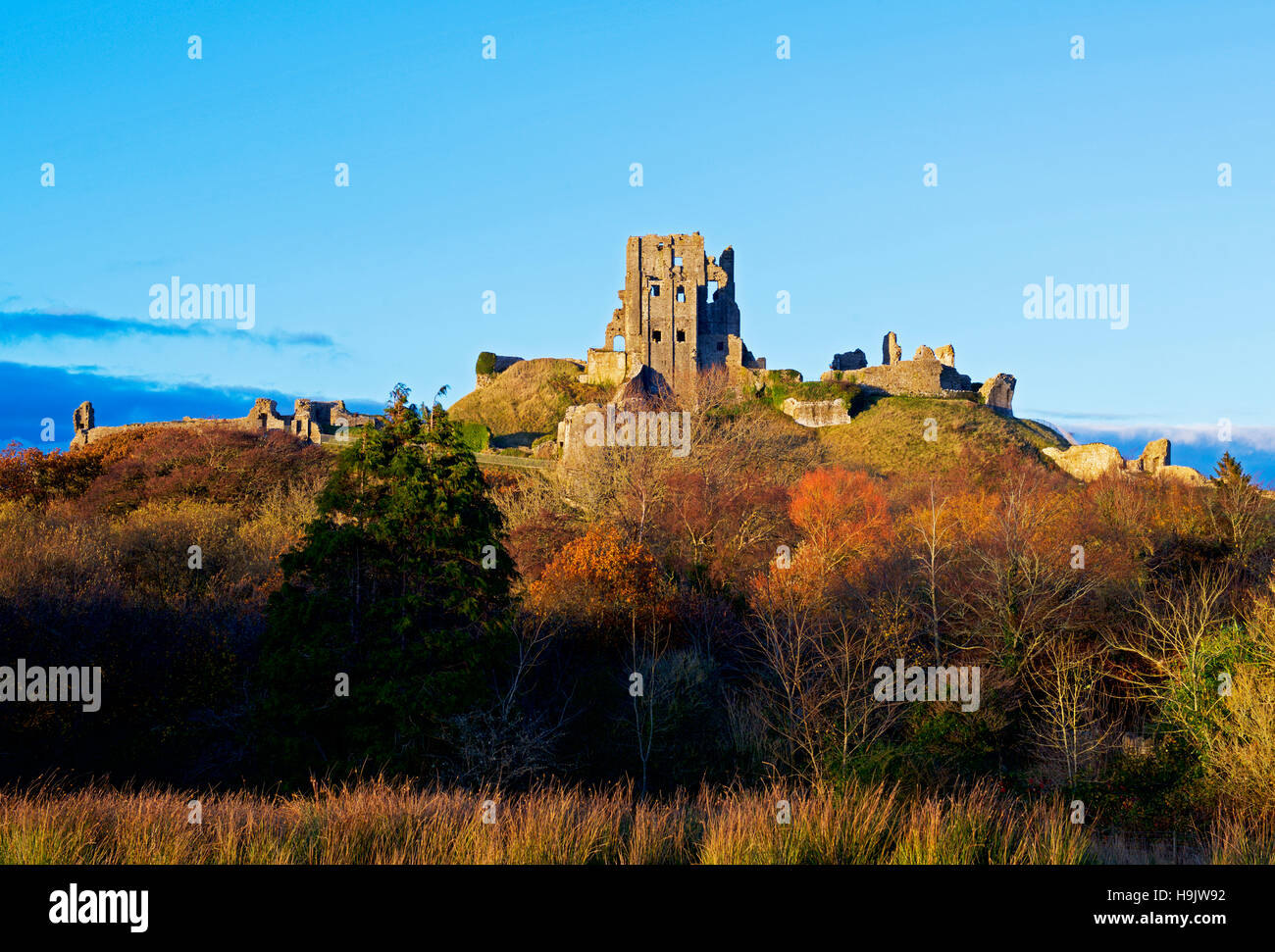 Corfe Castle, Isle of Purbeck, Dorset, England Regno Unito Foto Stock