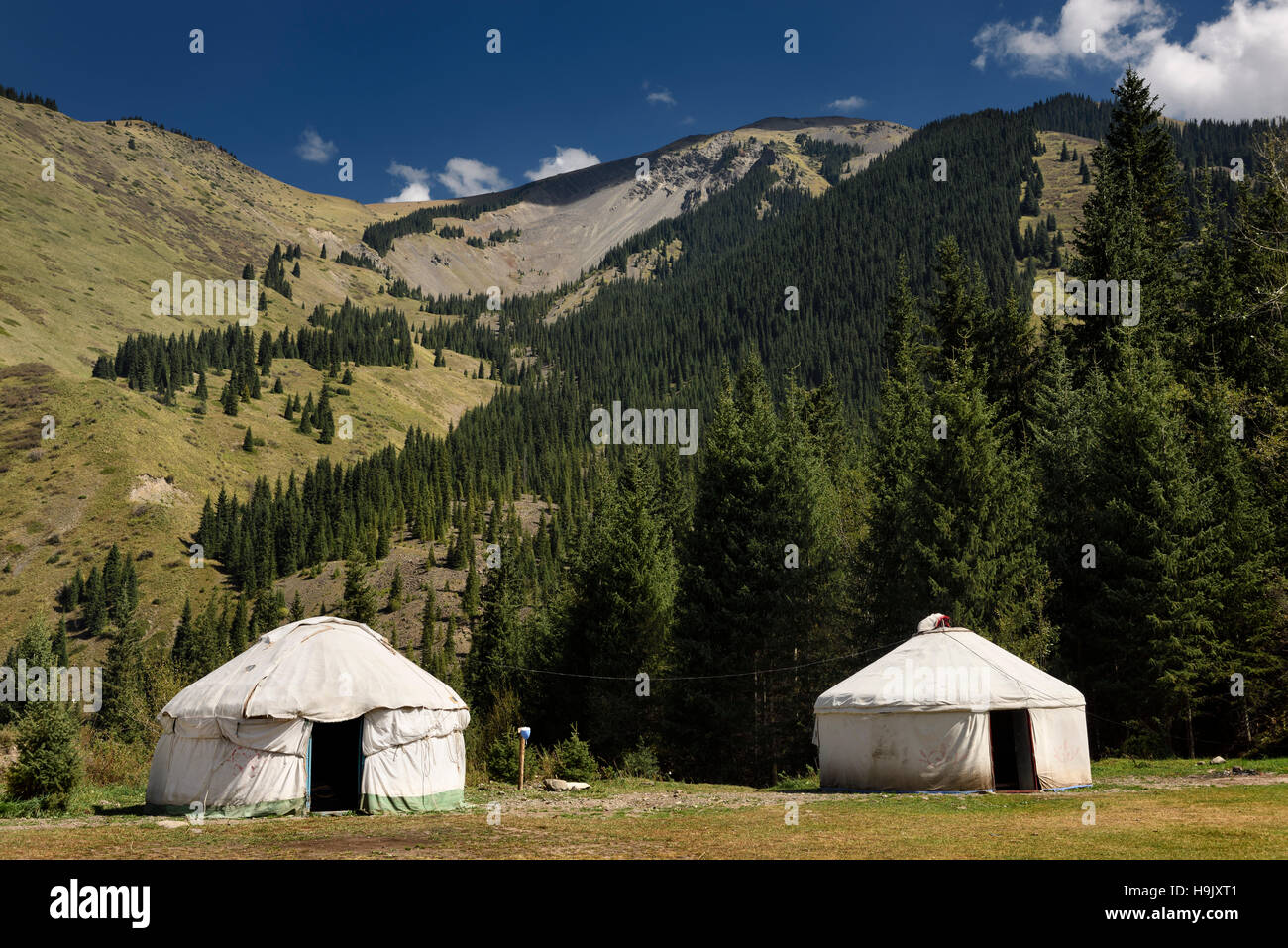 Yurta tende al campeggio di Kaindy Lago di Kungey Alatau montagne del Kazakistan Foto Stock