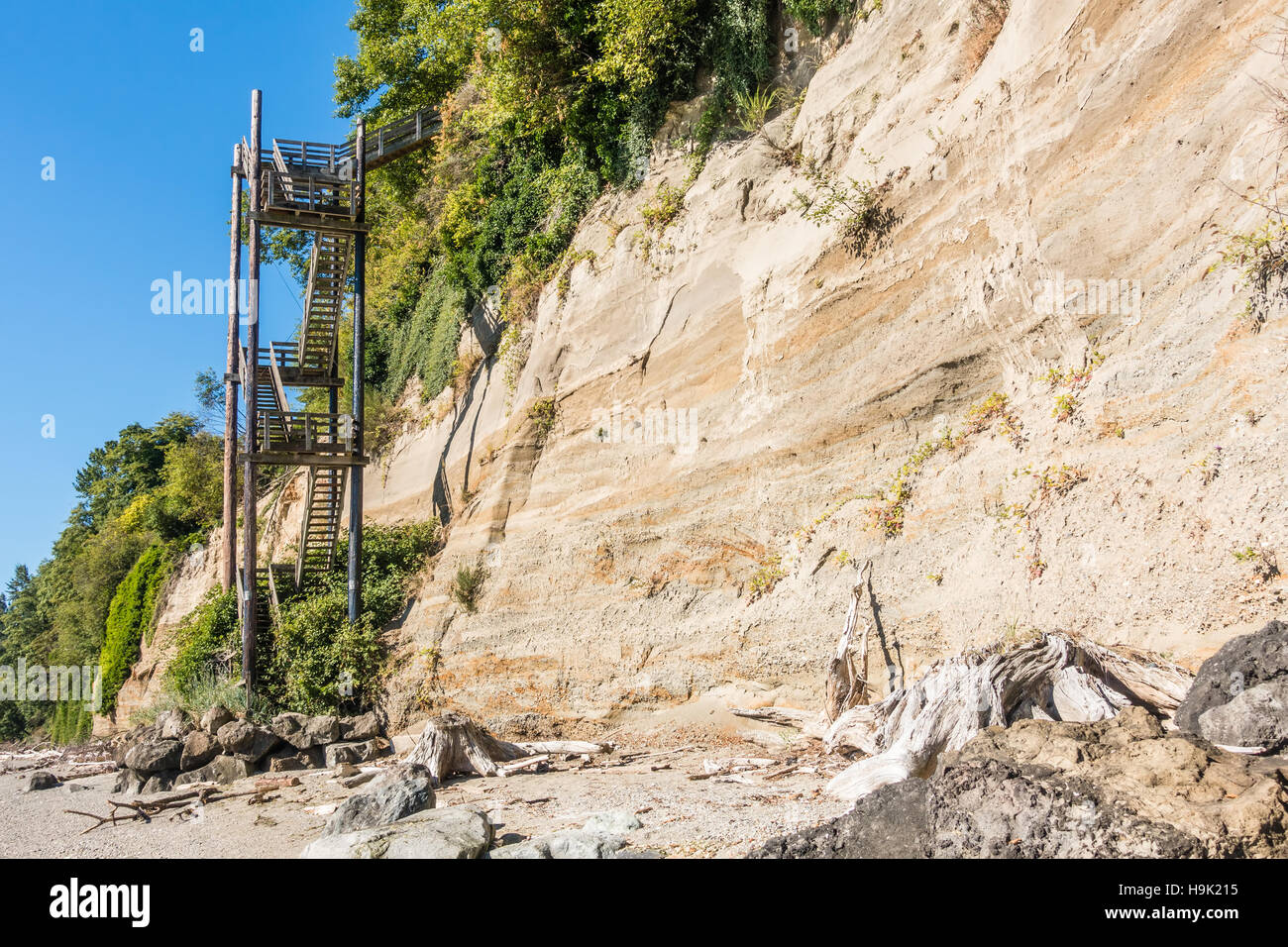 Una scala verticale sorge direttamente accanto a una collina a Saltwater del Parco Statale di Des Moines, Washington. Foto Stock