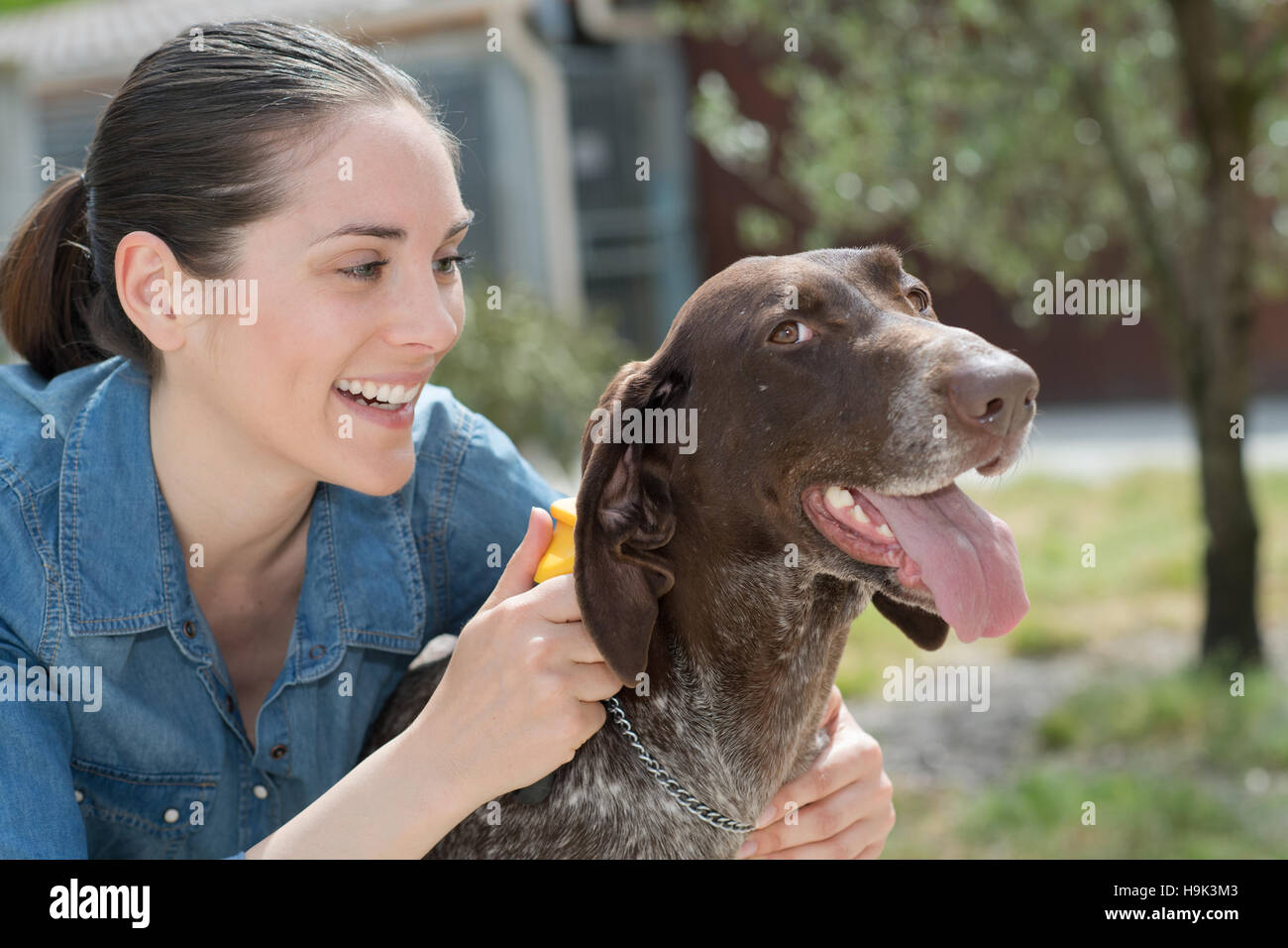 Vet femmina strofinarsi il cane a animal shelter Foto Stock