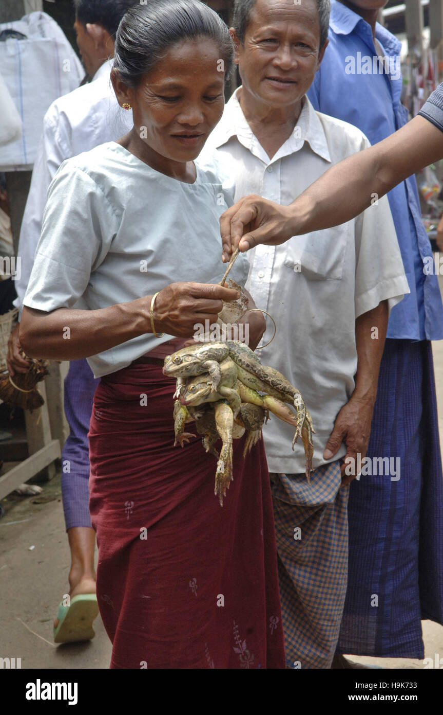 Un bangladese donna tribale vende rane al mercato locale nel distretto di Bandarban in Chittagong, Bangladesh. Foto Stock