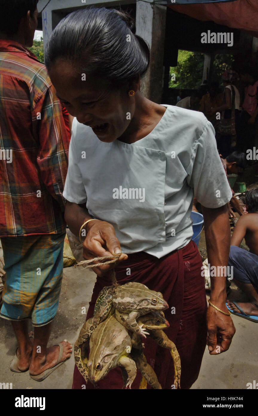 Un bangladese donna tribale vende rane al mercato locale nel distretto di Bandarban in Chittagong, Bangladesh. Foto Stock