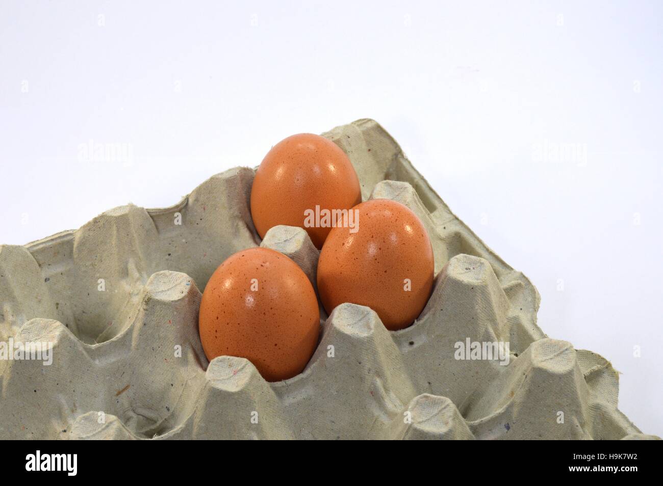 Tre uova fresche i laici nella loro scatola di cartone su sfondo bianco Foto Stock