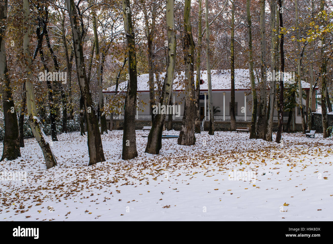 Sa'dabad complessa Foto Stock