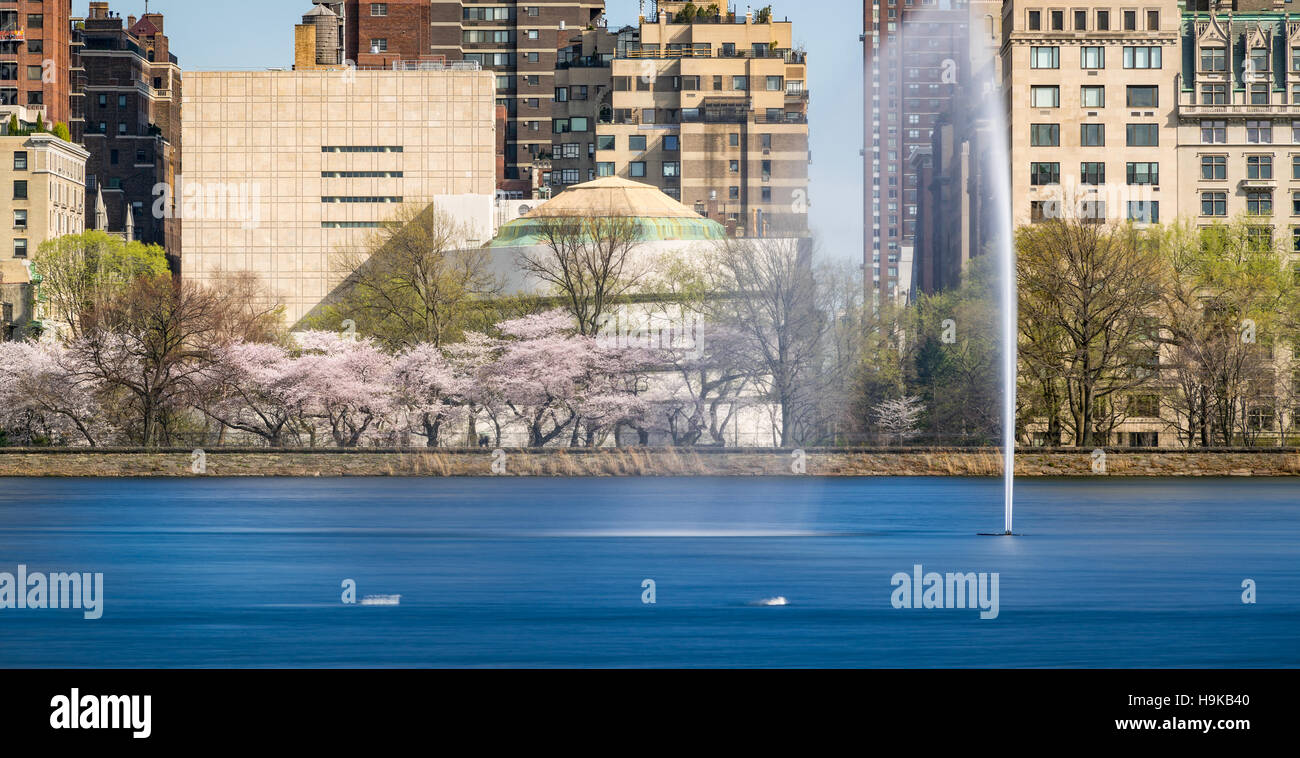 La molla a Central Park il serbatoio sul lato est superiore con il Jacqueline Kennedy Onassis serbatoio e fontana. New York Foto Stock