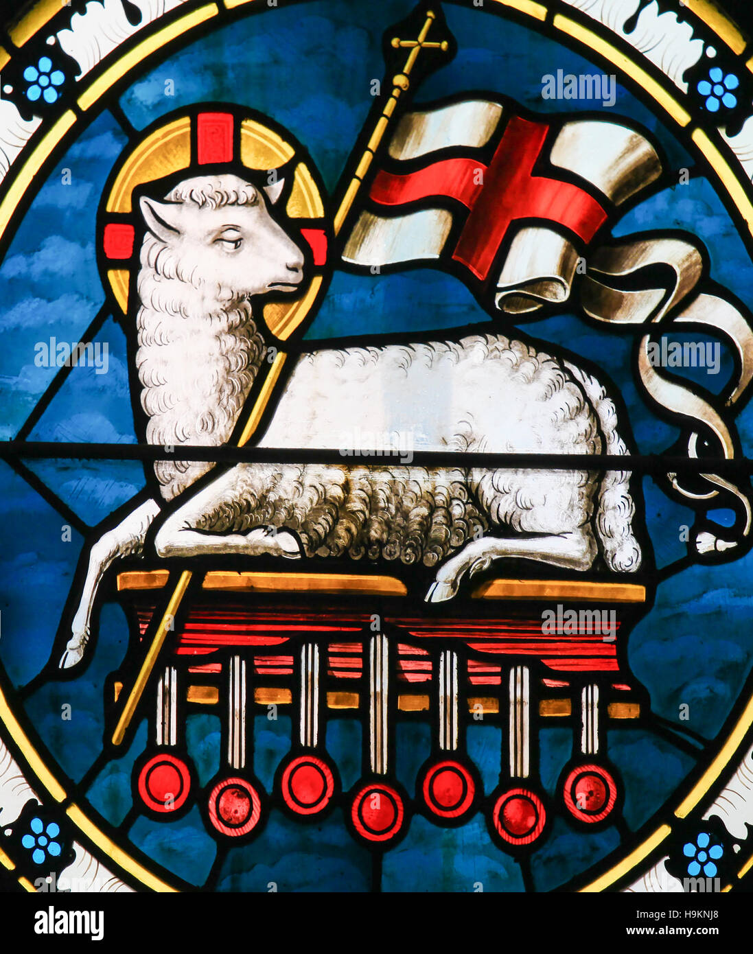 Agnus Dei. Il vetro macchiato di un agnello tenendo un banner Cristiana, simbolo dell Agnello di Dio. Foto Stock