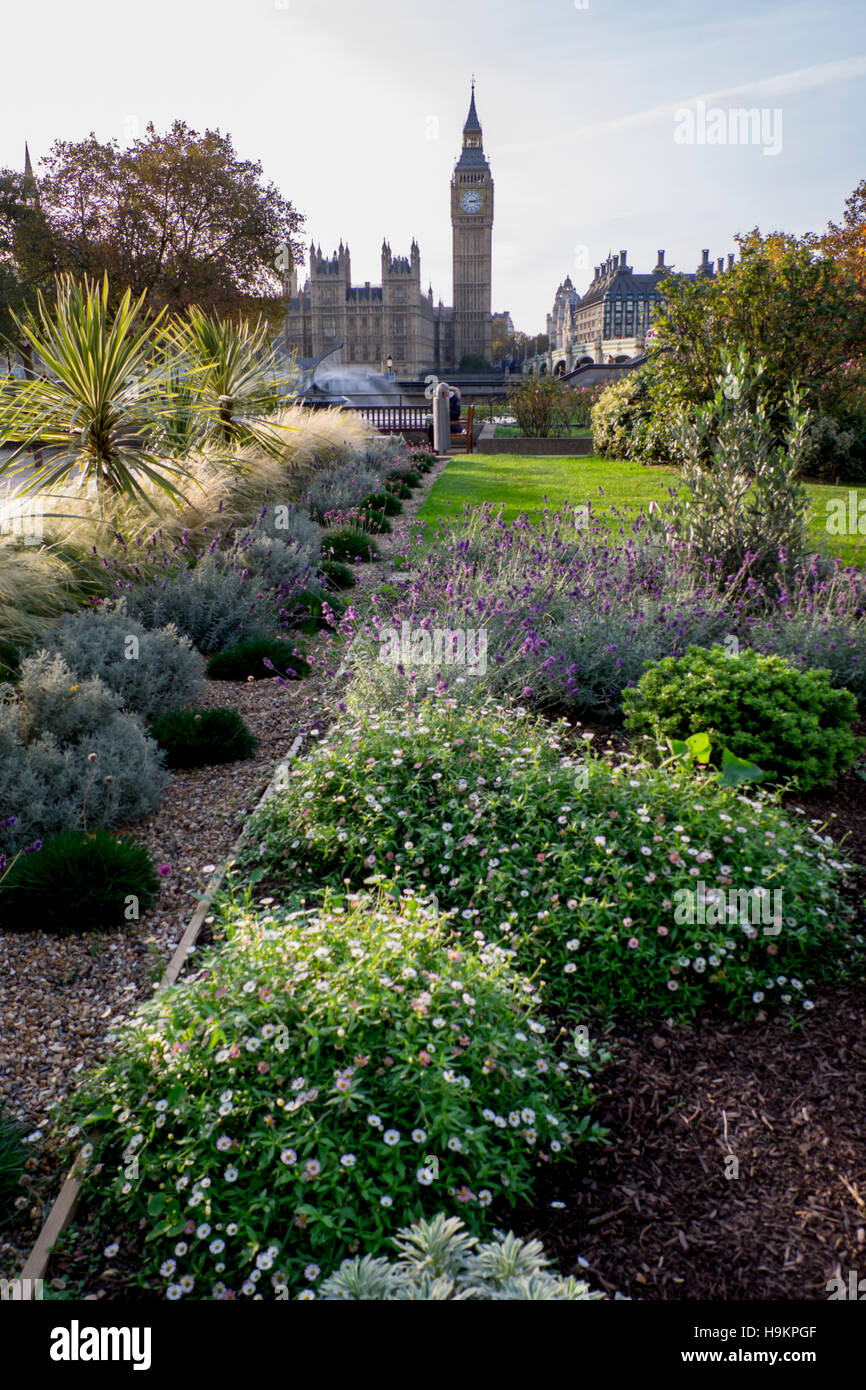 Regno Unito, Inghilterra, Londra, Big Ben, giardino in St Thomas Hospital Foto Stock