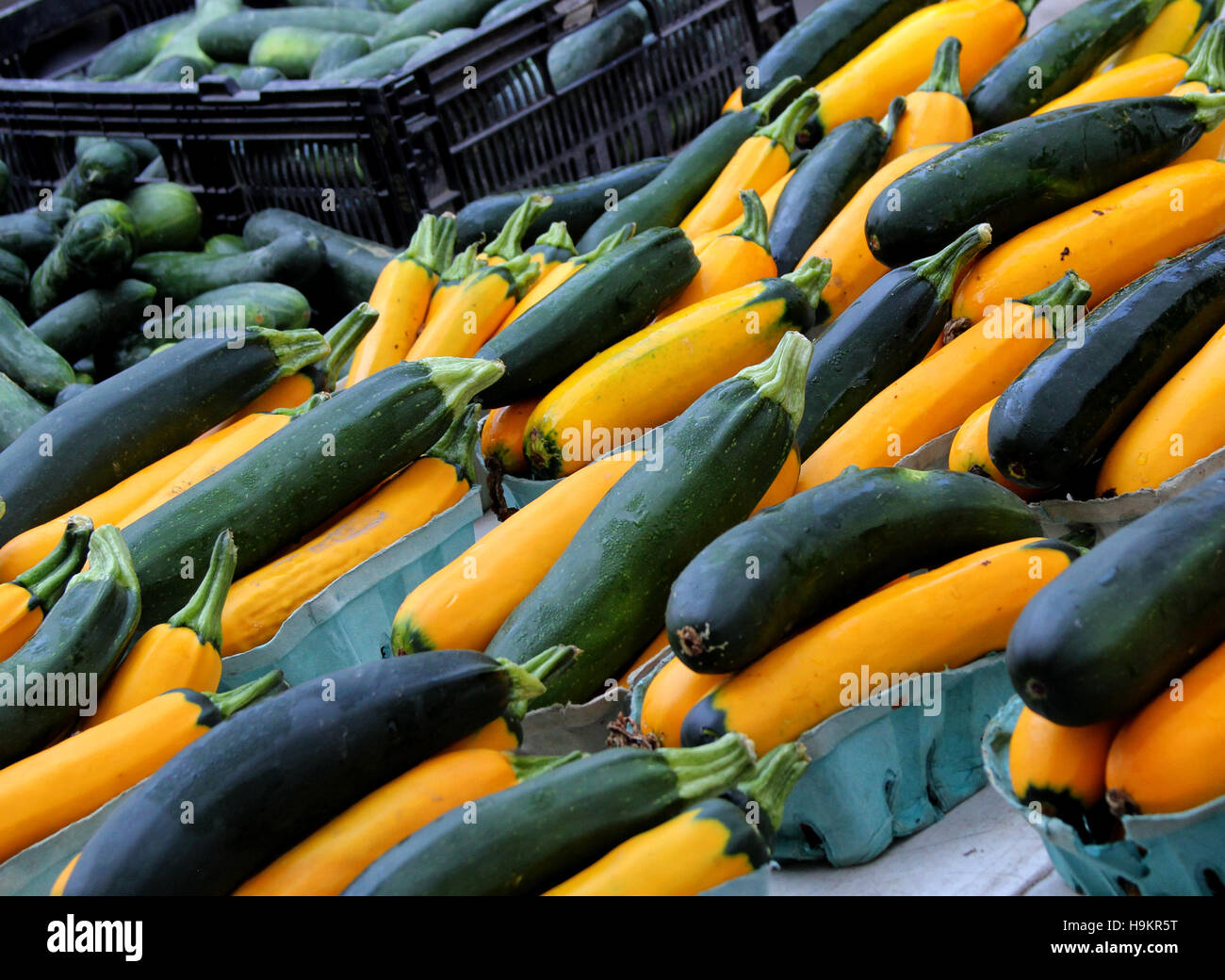 Fresh squash -- le zucchine e la zucca gialla -- in vendita al mercato degli agricoltori Foto Stock