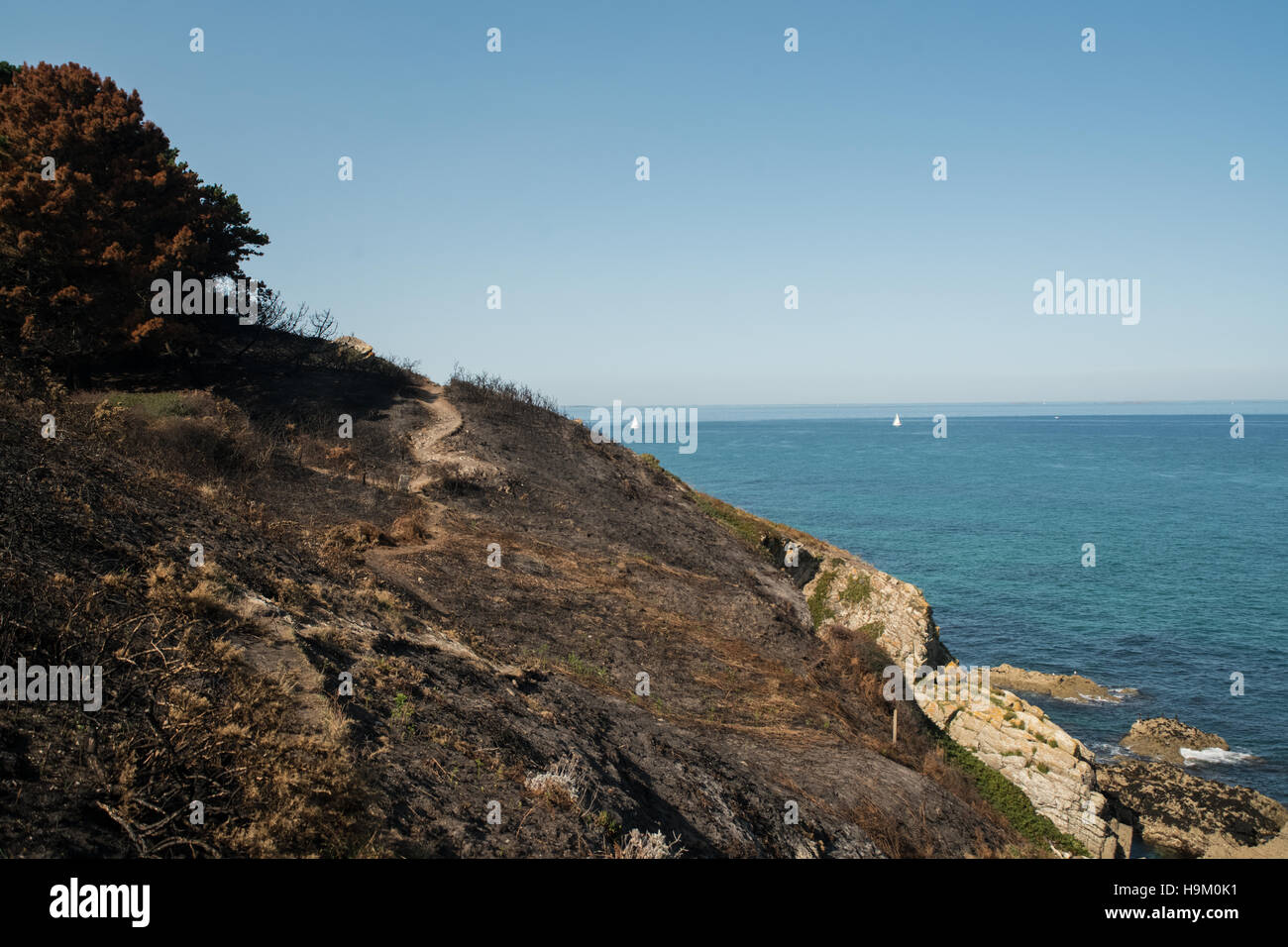 Incendio di foresta sulla costa di Belle-Ile-en-Mer Foto Stock