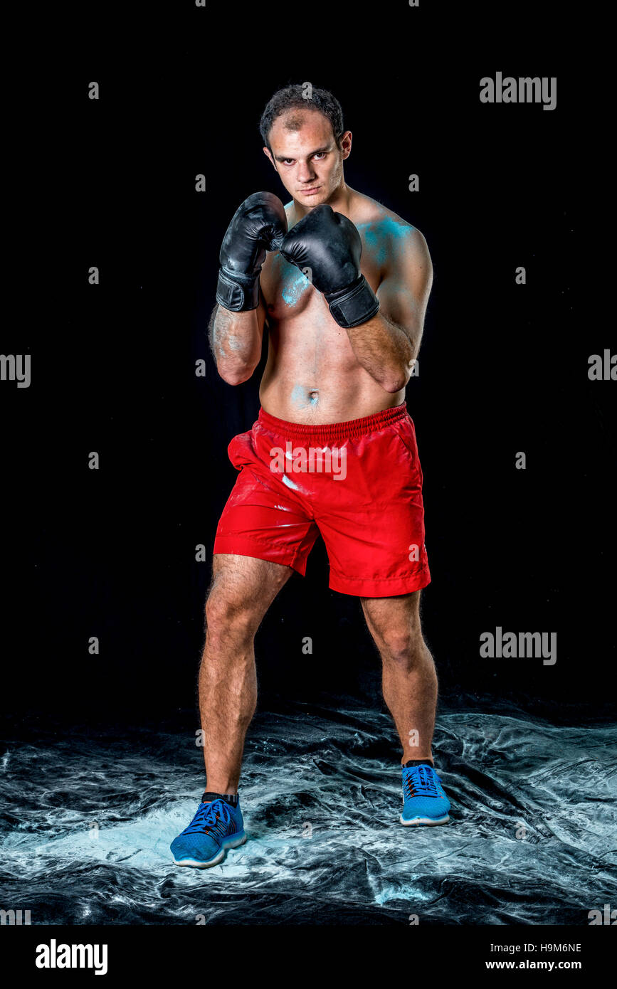 Ritratto di un boxer Foto Stock