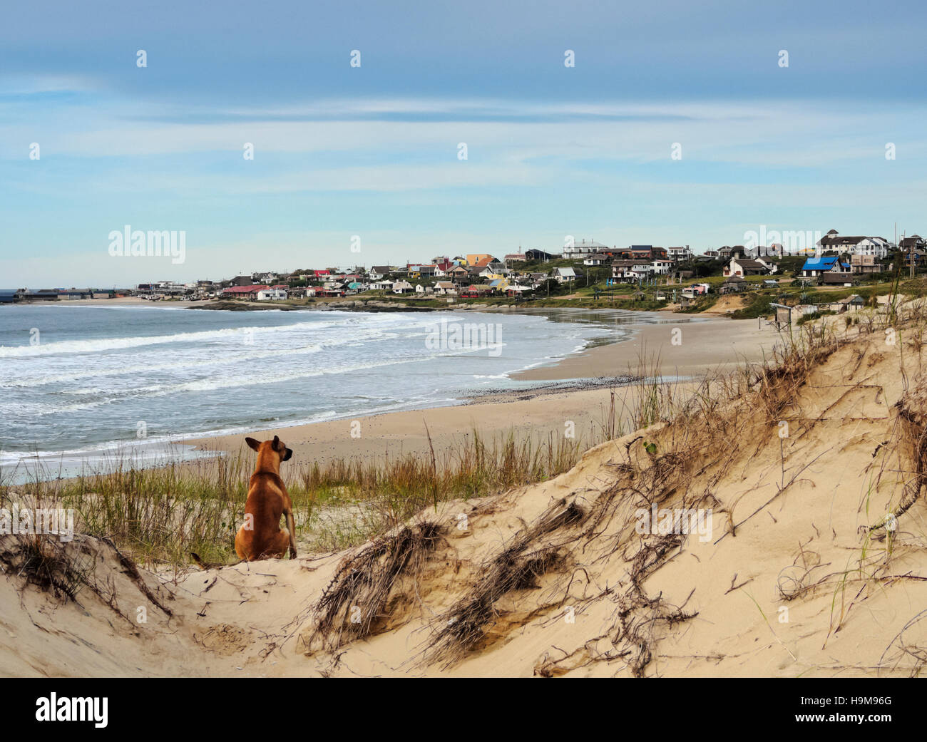 Uruguay, Rocha Dipartimento, Punta del Diablo, vista su Rivero spiaggia verso il villaggio. Foto Stock