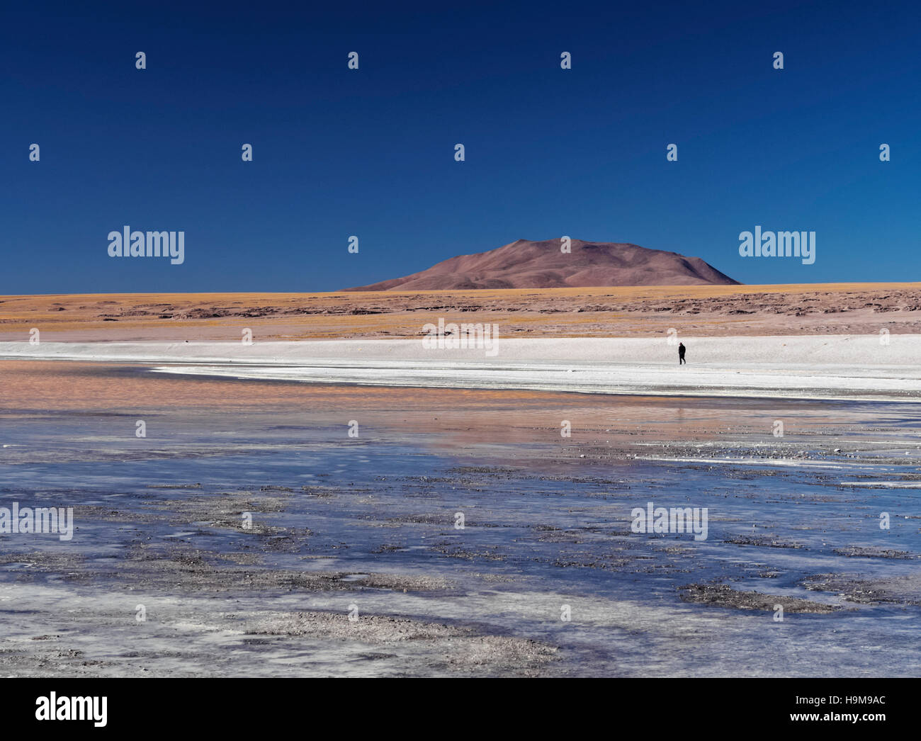 Bolivia, Potosi Departmant, Sur Lipez Provincia, Eduardo Avaroa fauna Andina riserva nazionale, il paesaggio della Laguna Colorada. Foto Stock