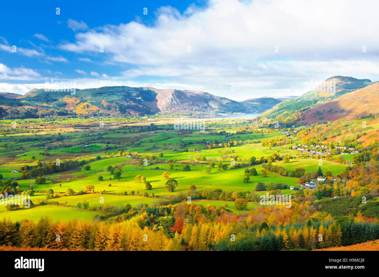 Vista da Latrigg over the Borrowdale Valley verso il lago di Bassenthwaite in autunno, Lake District, Cumbria, England, Regno Unito Foto Stock