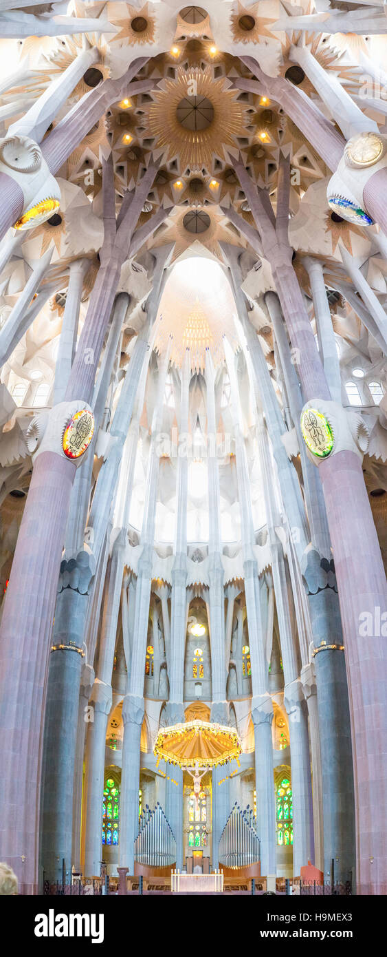 Barcellona, Spagna - Jun 10:interno della Sagrada Familia - disegnate da Gaudi, che è in fase di costruzione dal 19 marzo 1882 e non è ancora finito giu 10 Foto Stock