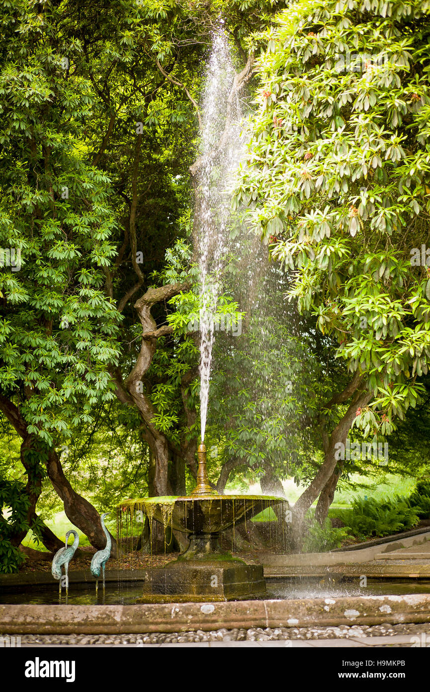 Fontana ornamentale in Holker Hall giardini in Cumbria Regno Unito Foto Stock