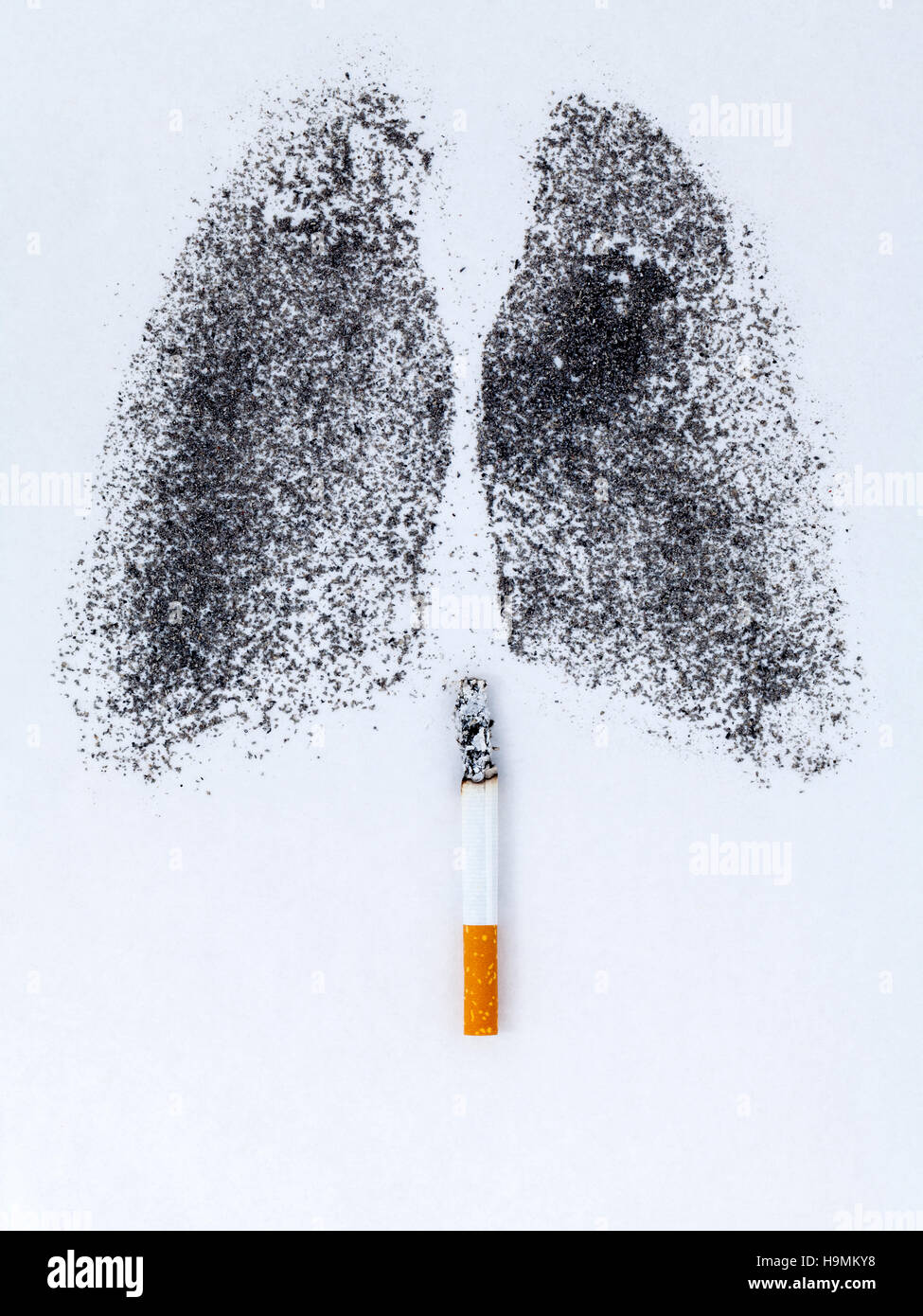 Forma dei polmoni con polvere di carbone e di sigarette su bianco backg Foto Stock